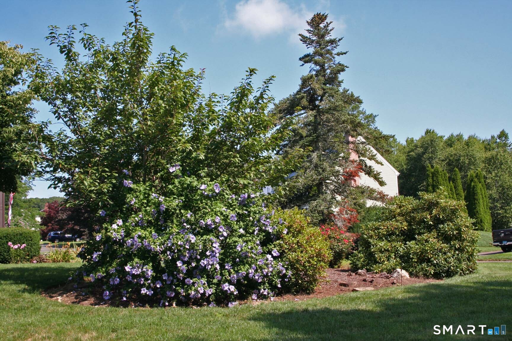 47 Spice Hill Drive photo 40
