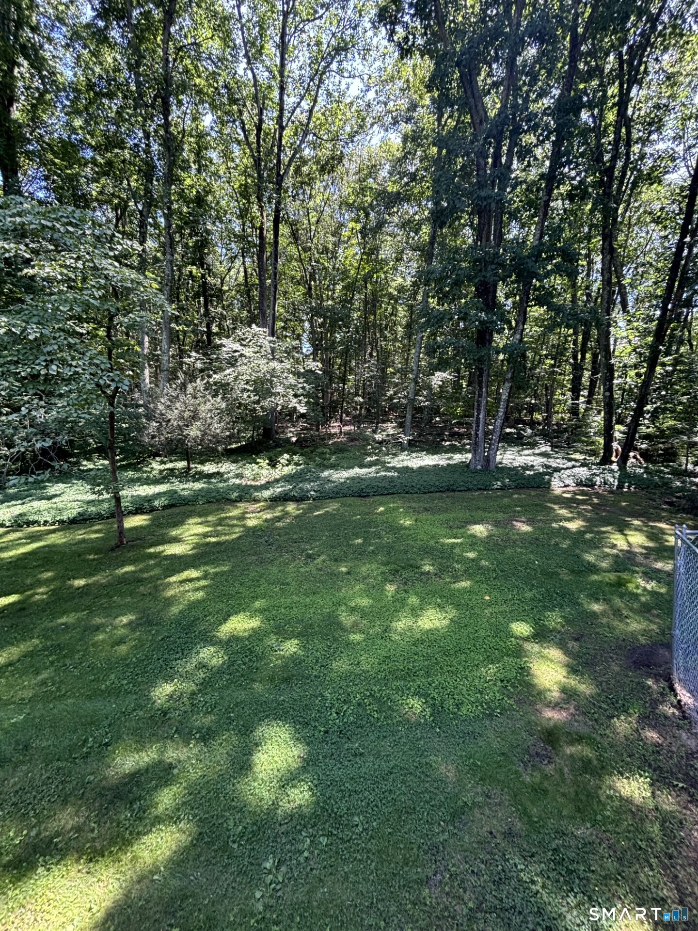 20 Godman Road photo 28