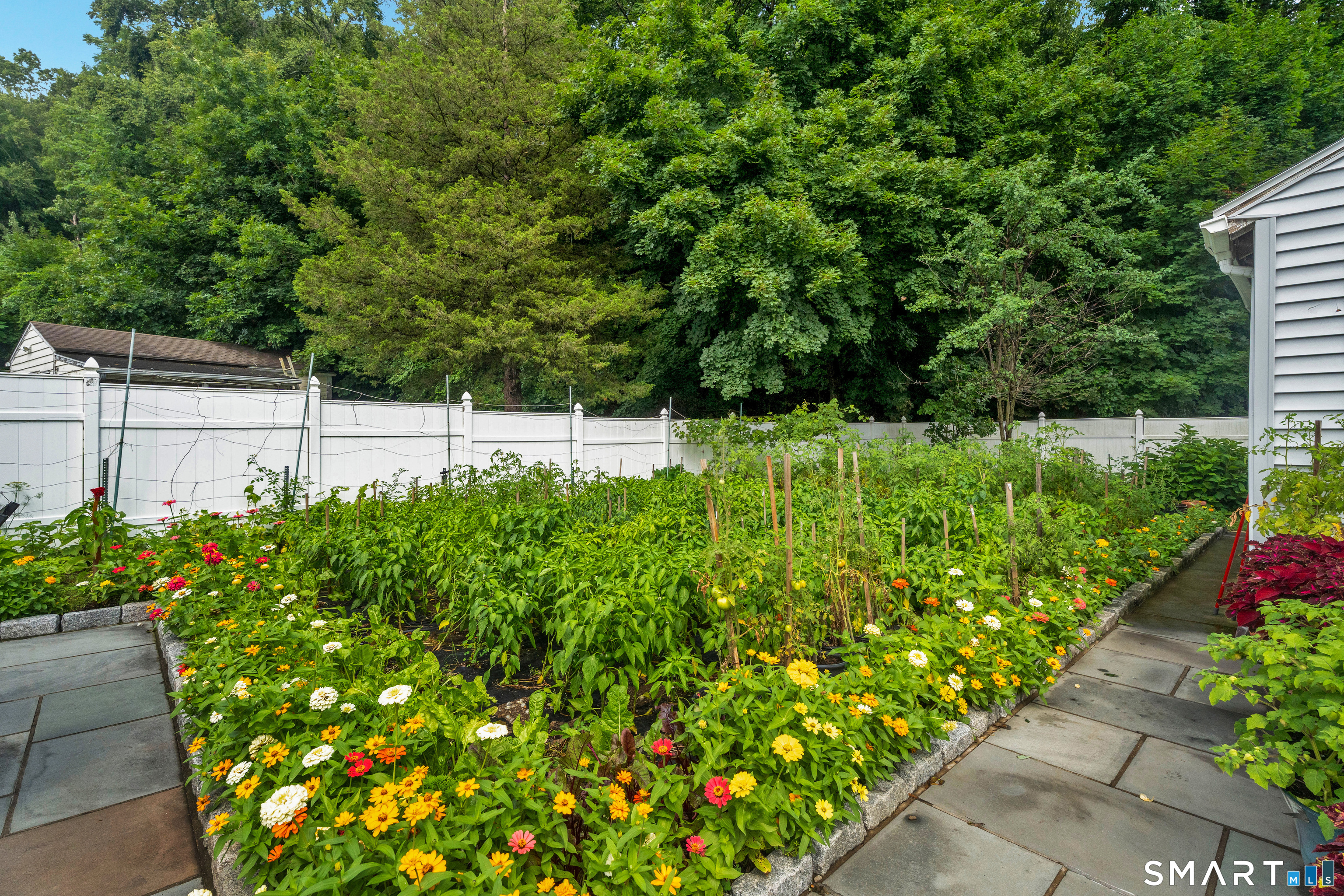 3 Coppola Terrace photo 7