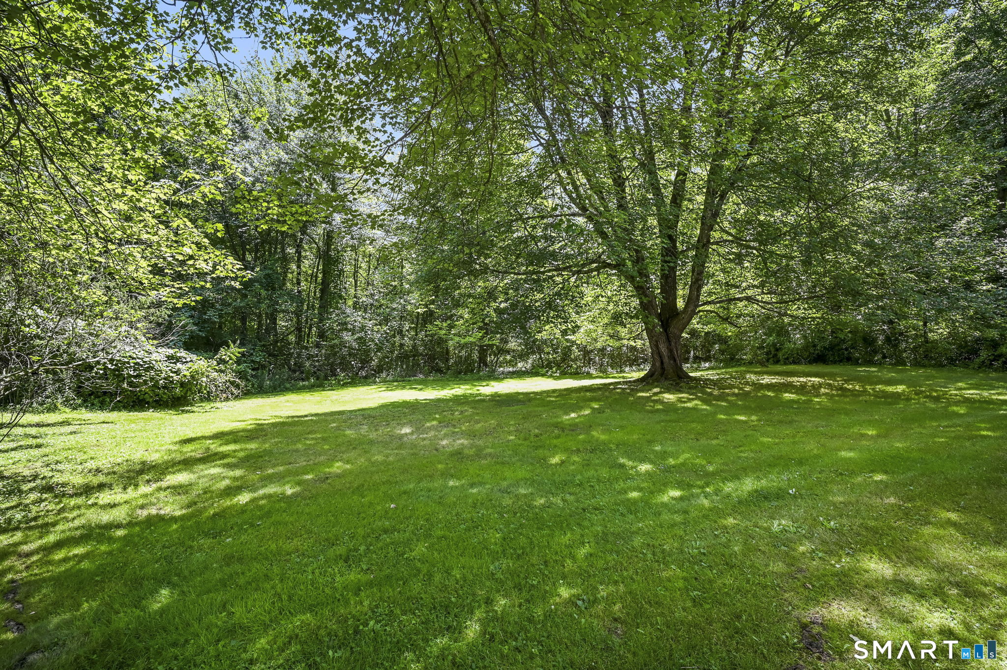 35 Sisk Street photo 9