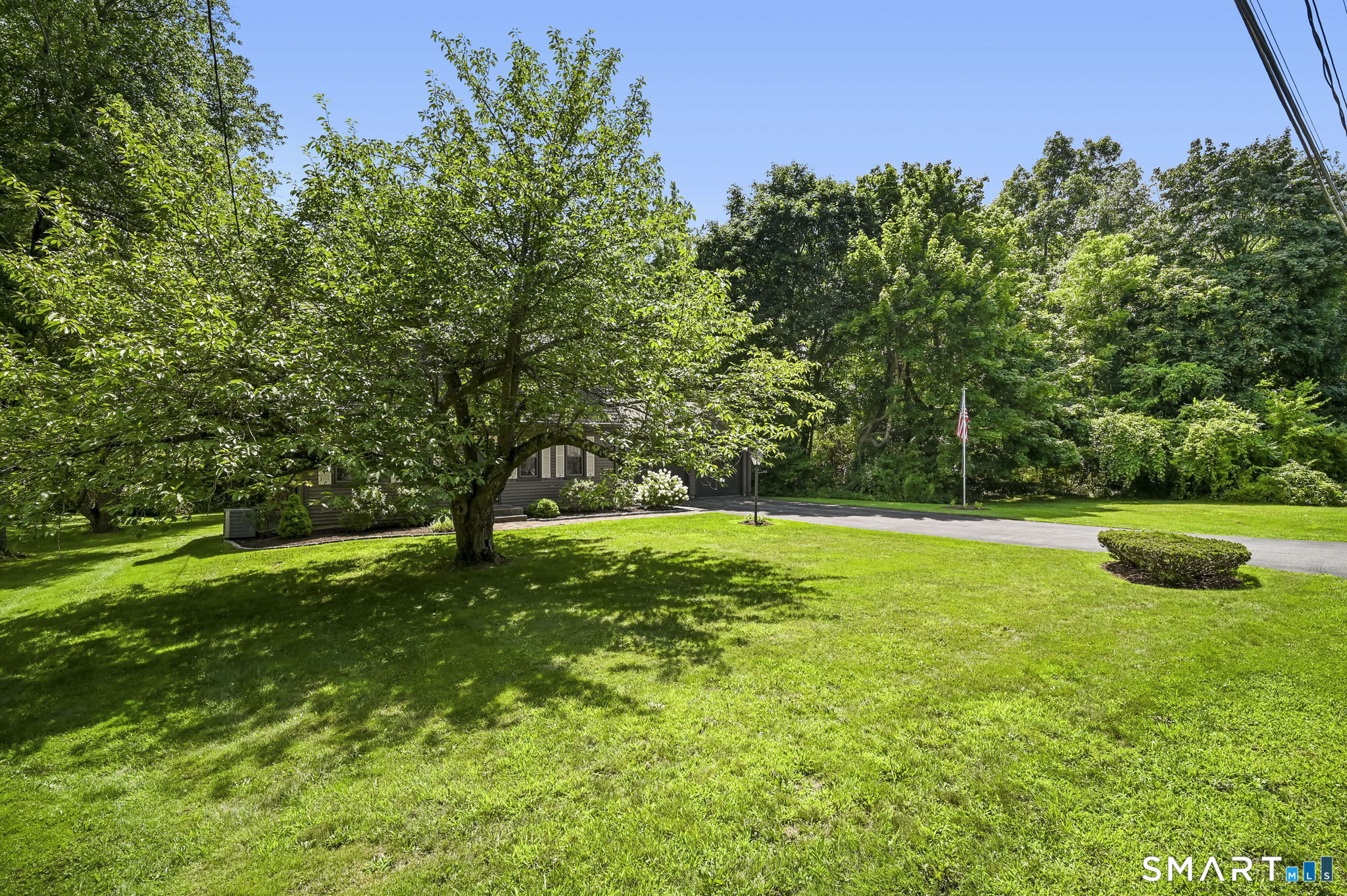 35 Sisk Street photo 2