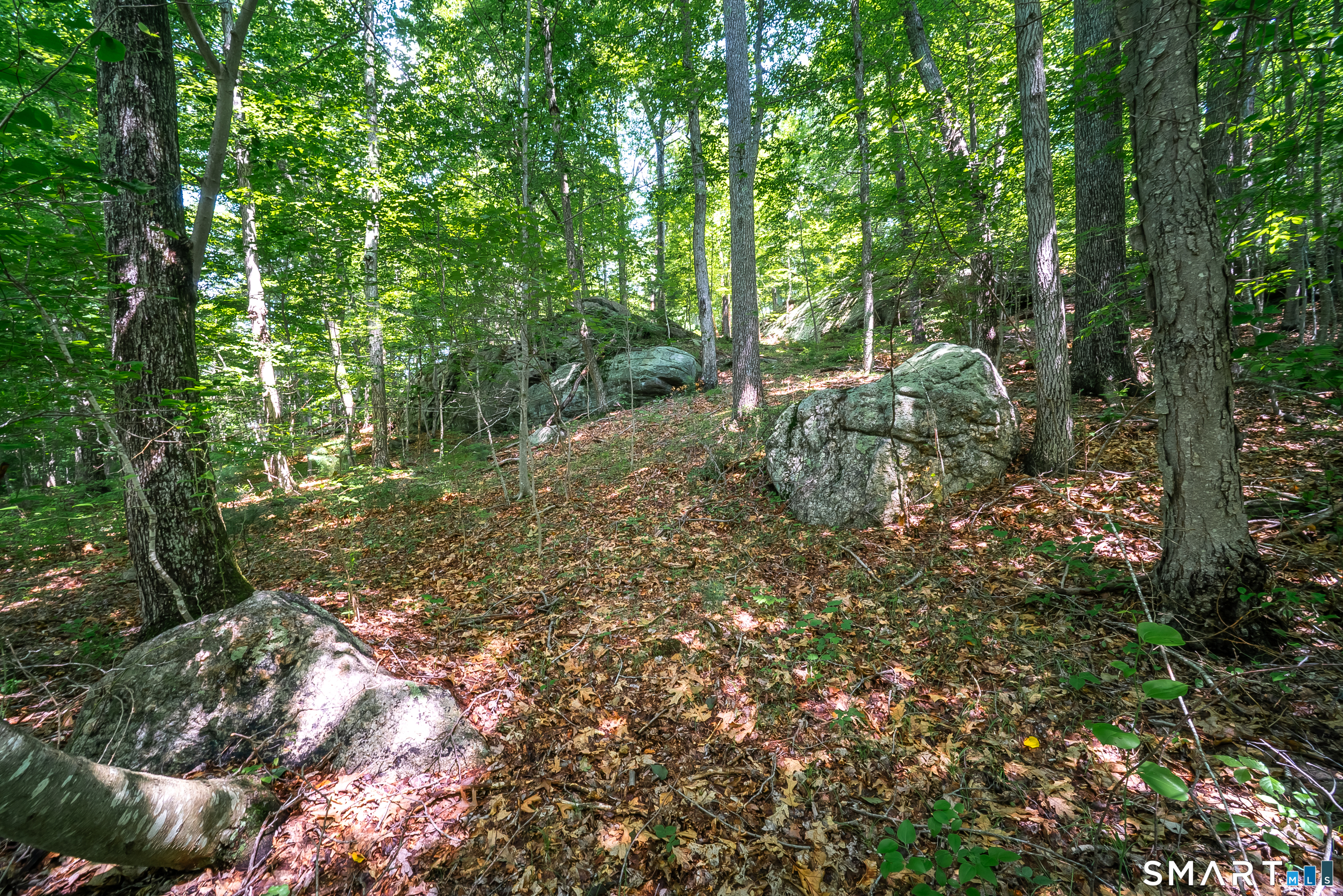61 Silver Springs Drive photo 2