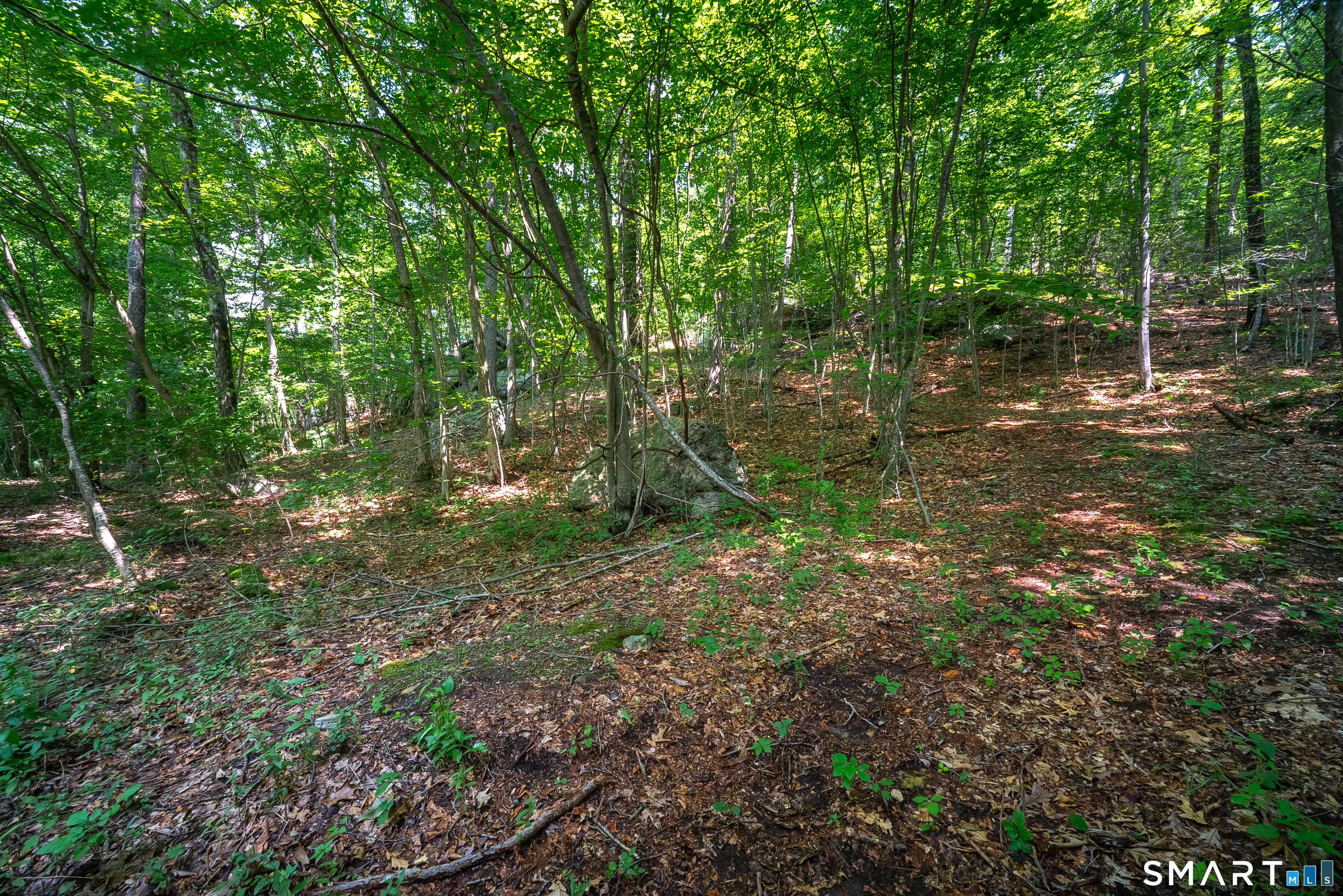 61 Silver Springs Drive photo 4