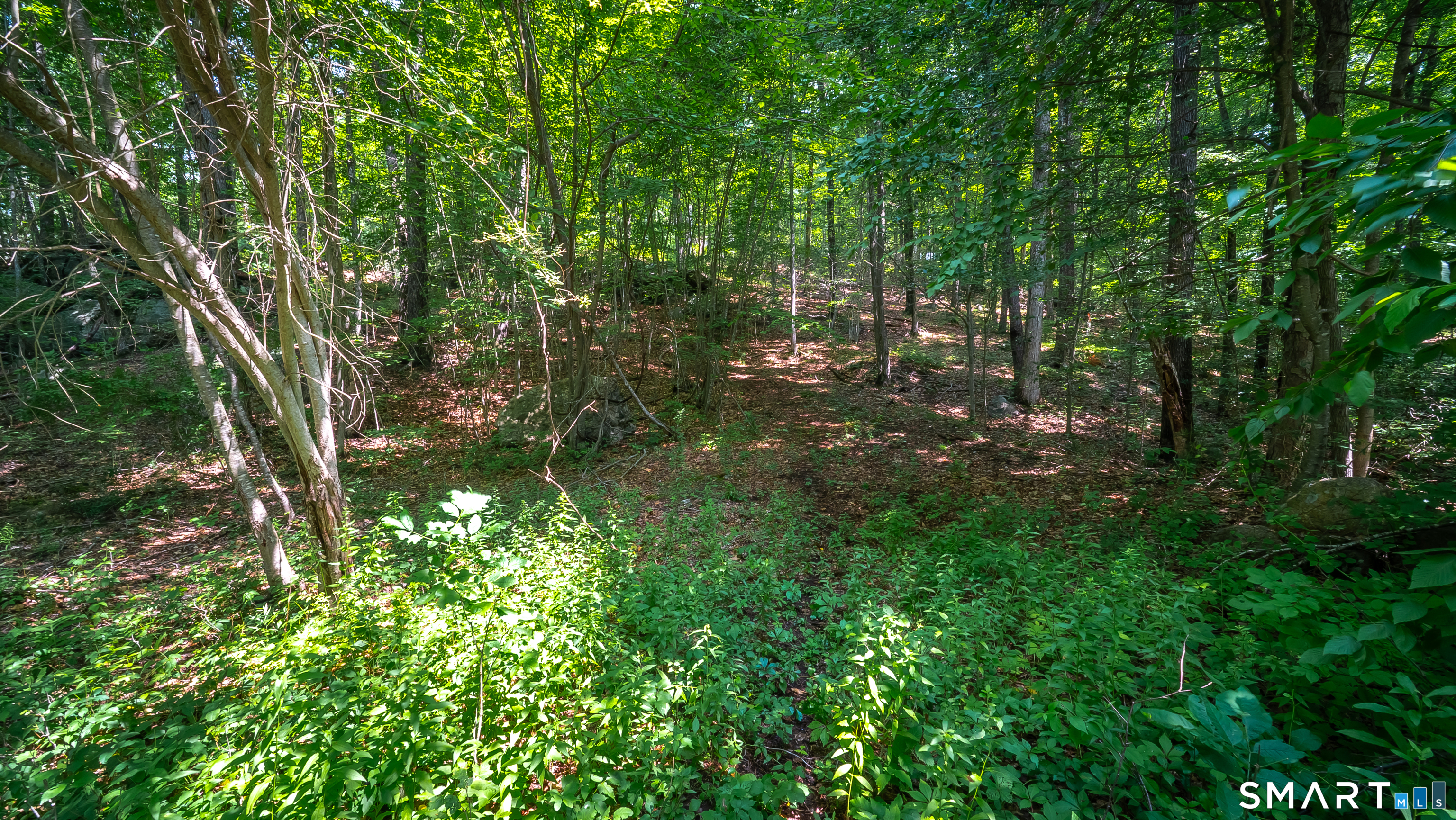 61 Silver Springs Drive photo 5