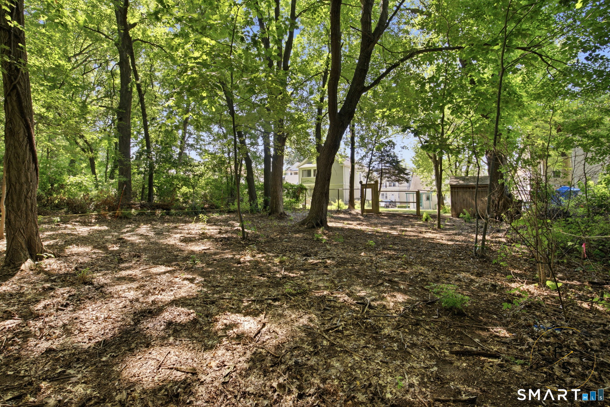 144 Wilson Street photo 28