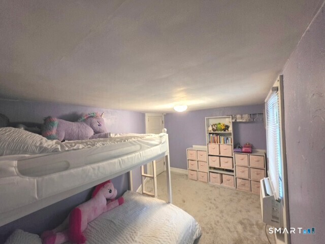 161 Chestnut Grove Road photo 21