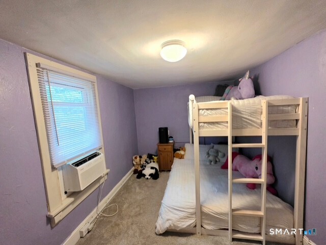 161 Chestnut Grove Road photo 22
