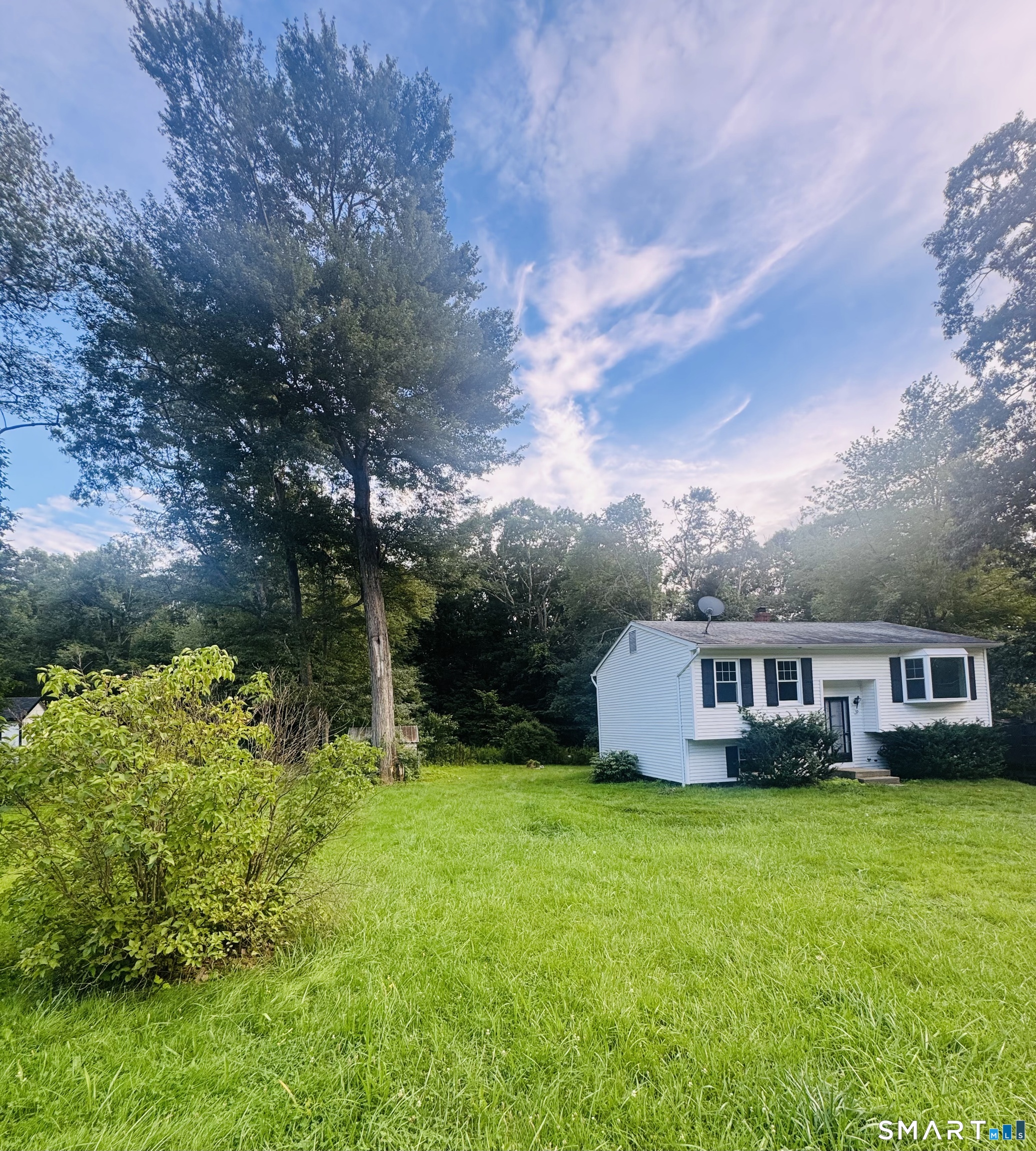 39 Beechwood Boulevard photo 6