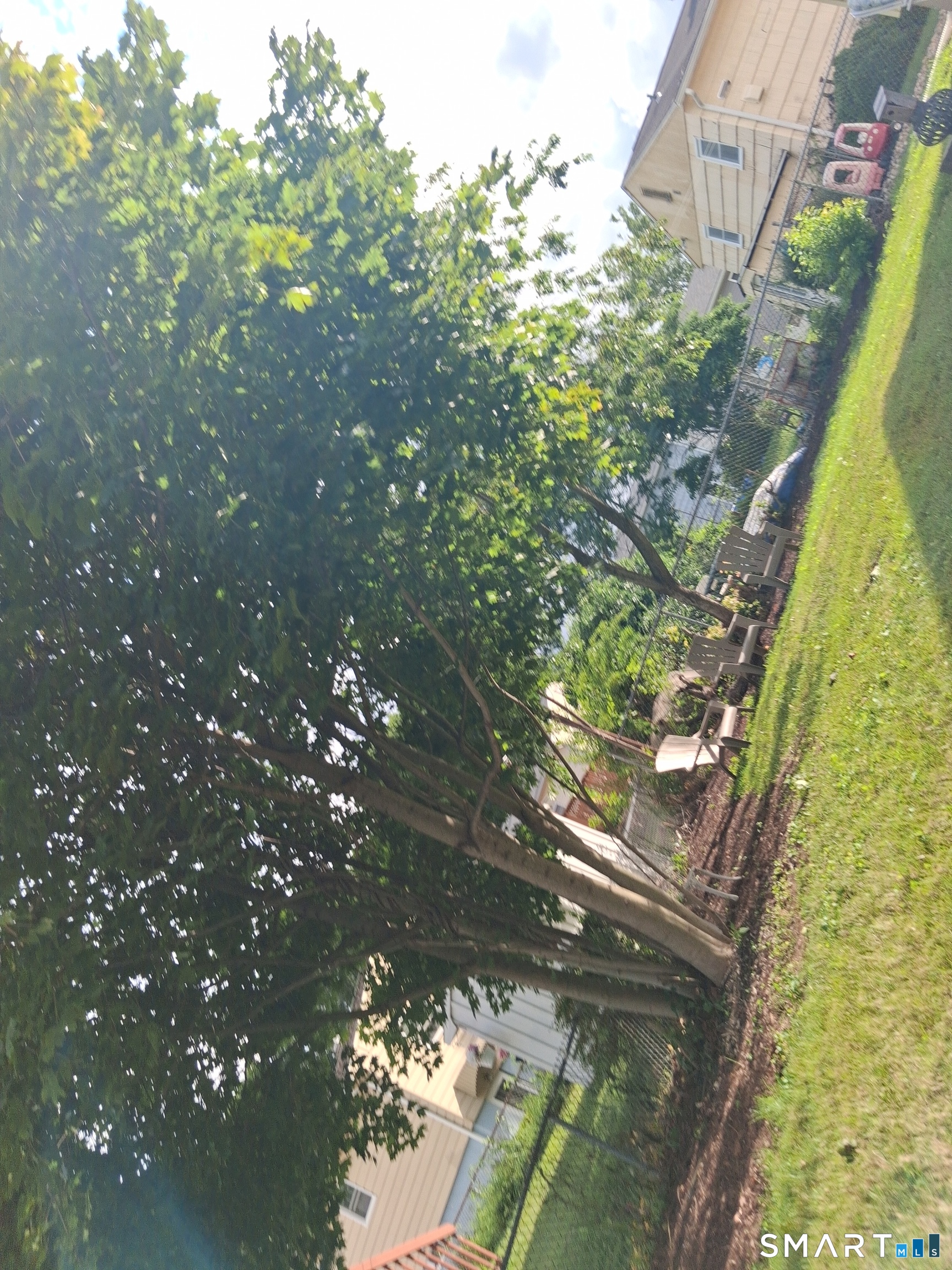38 Elaine Drive photo 16