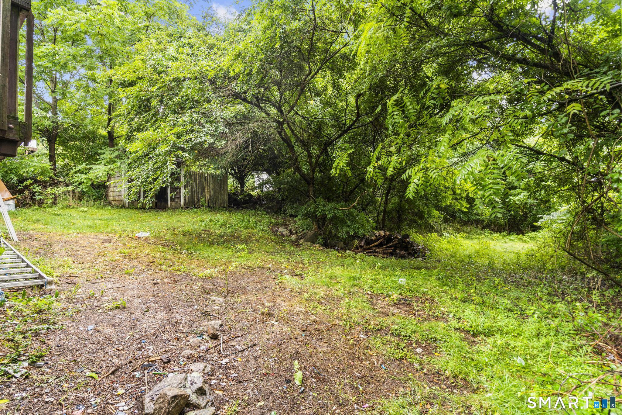 56 Evergreen Avenue photo 26
