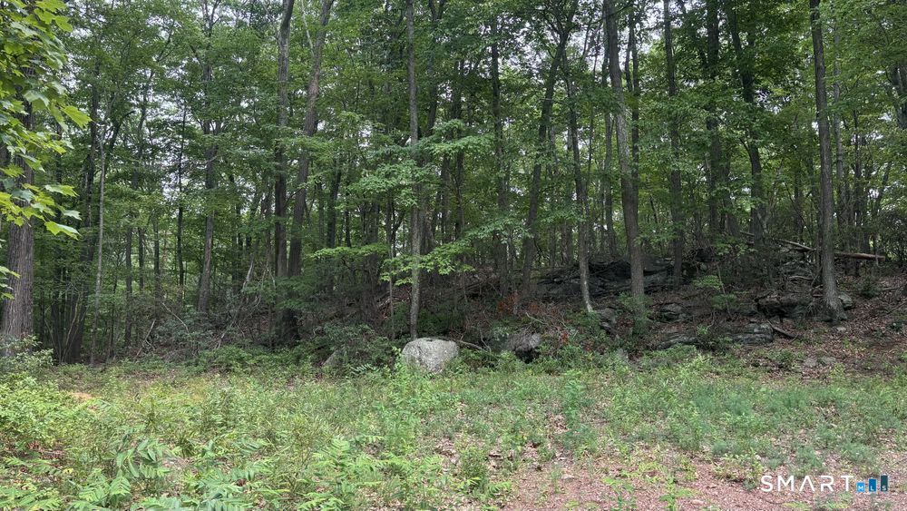 195 Silver Springs Drive photo 6