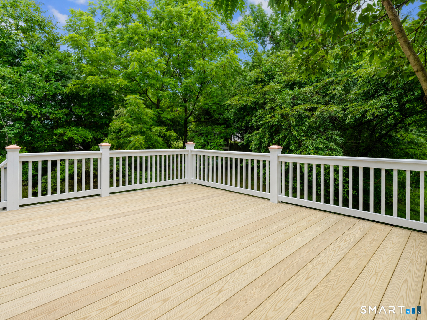56 Evergreen Avenue photo 24