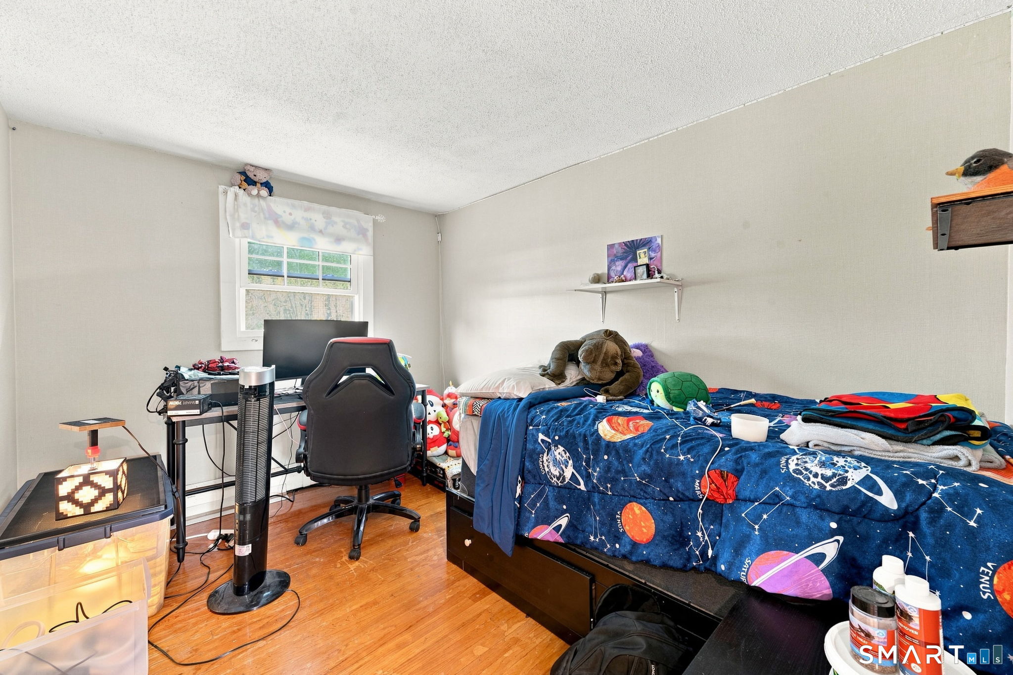 41 Taillon Street photo 21