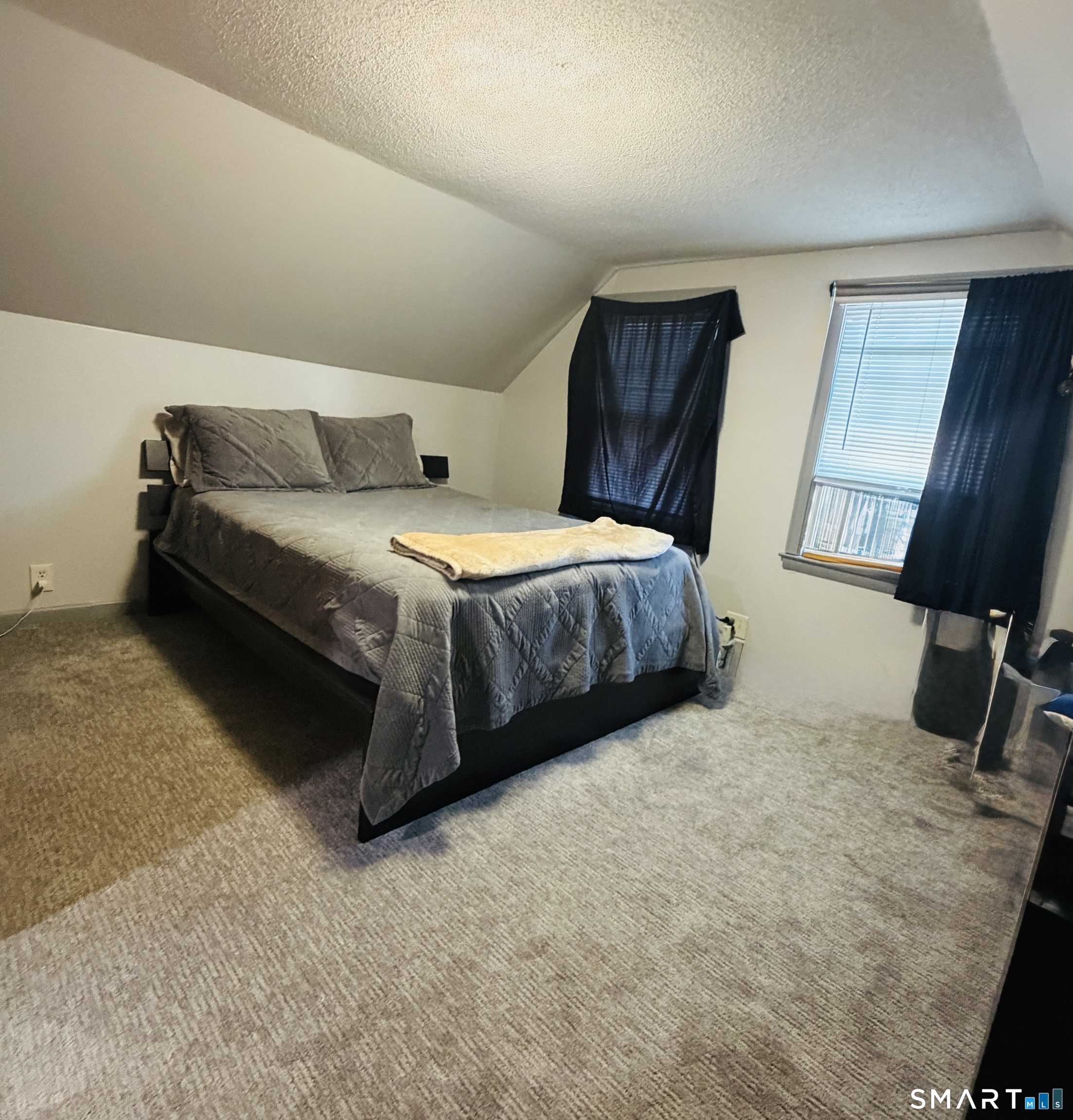 21 Whitman Street photo 12
