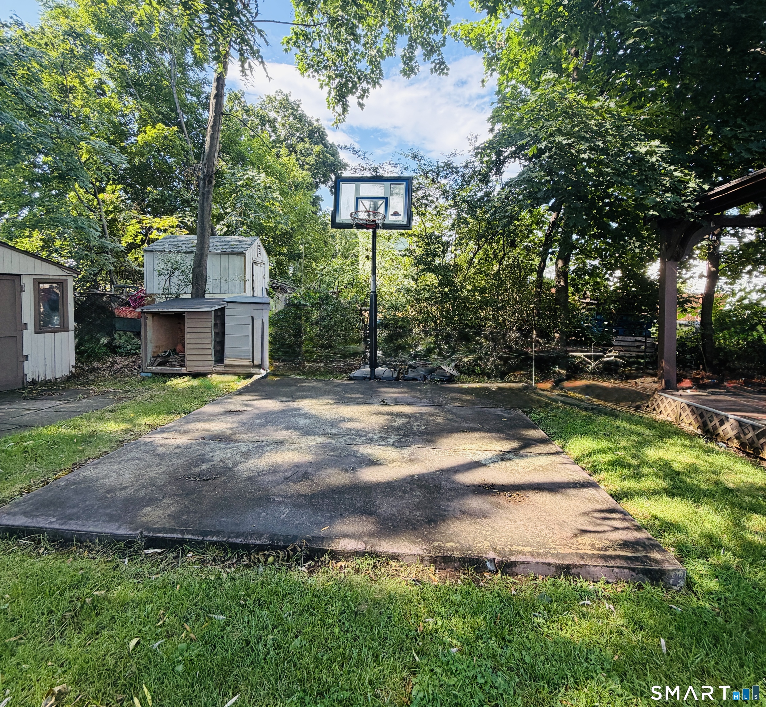 21 Whitman Street photo 22