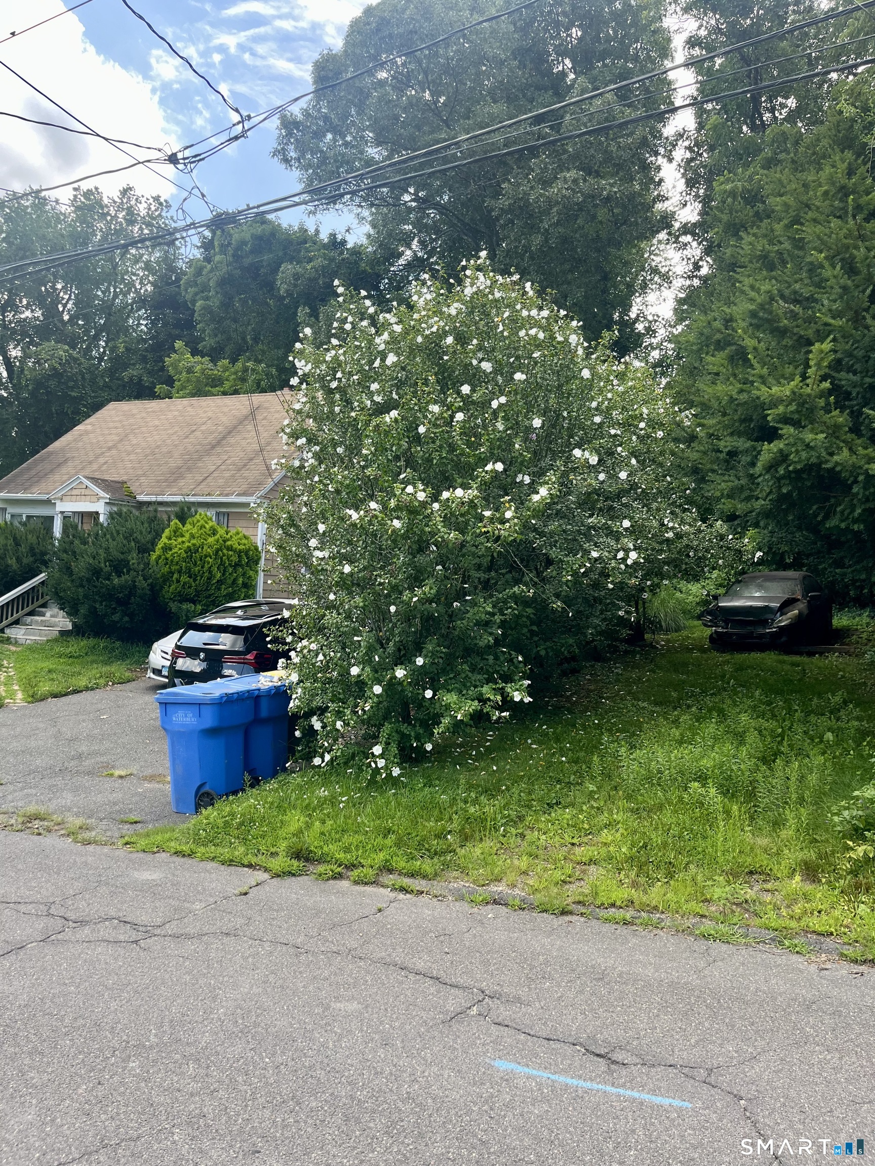 21 Joy Road photo 9