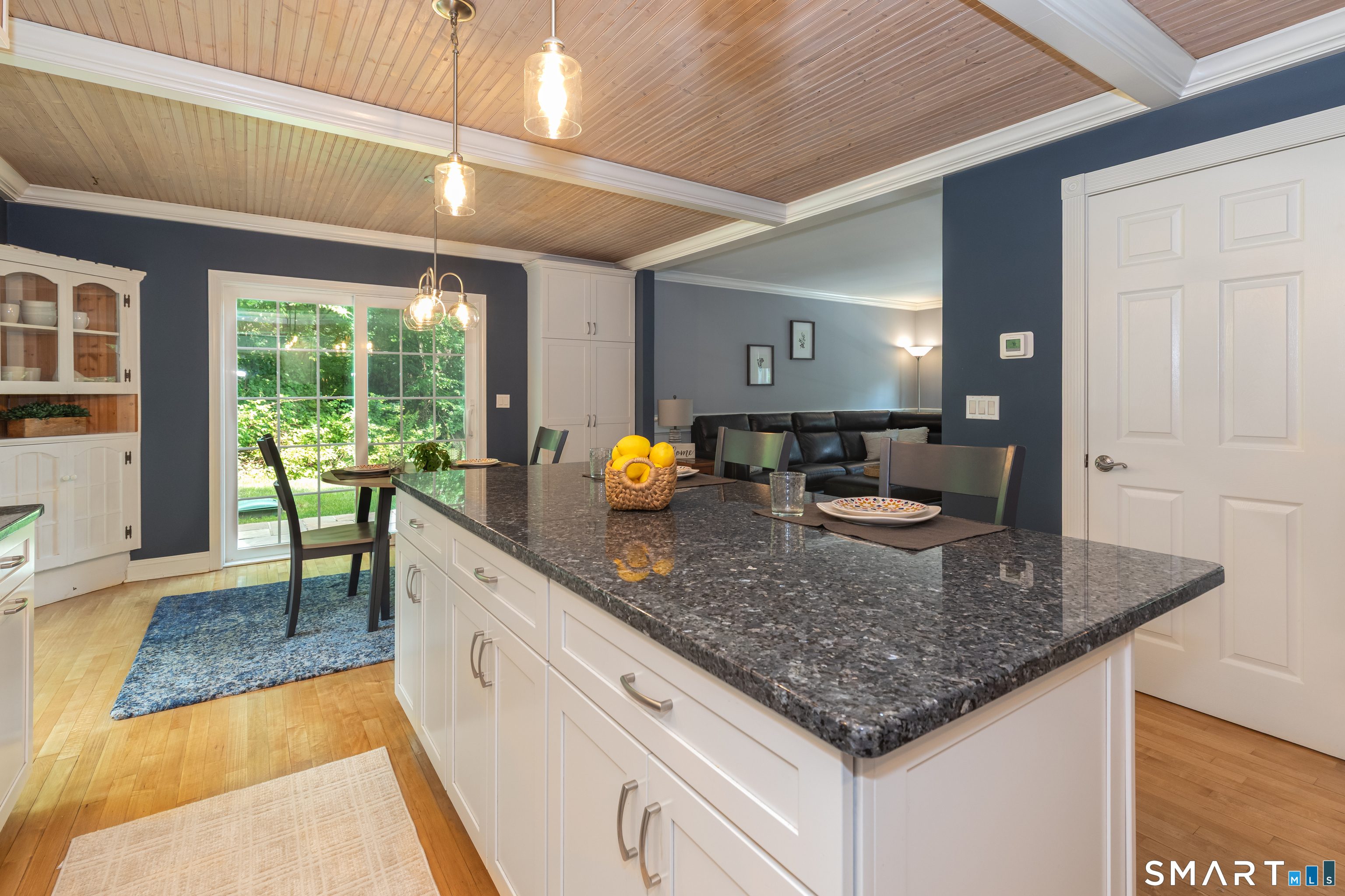 251 Lake Shore Drive photo 10