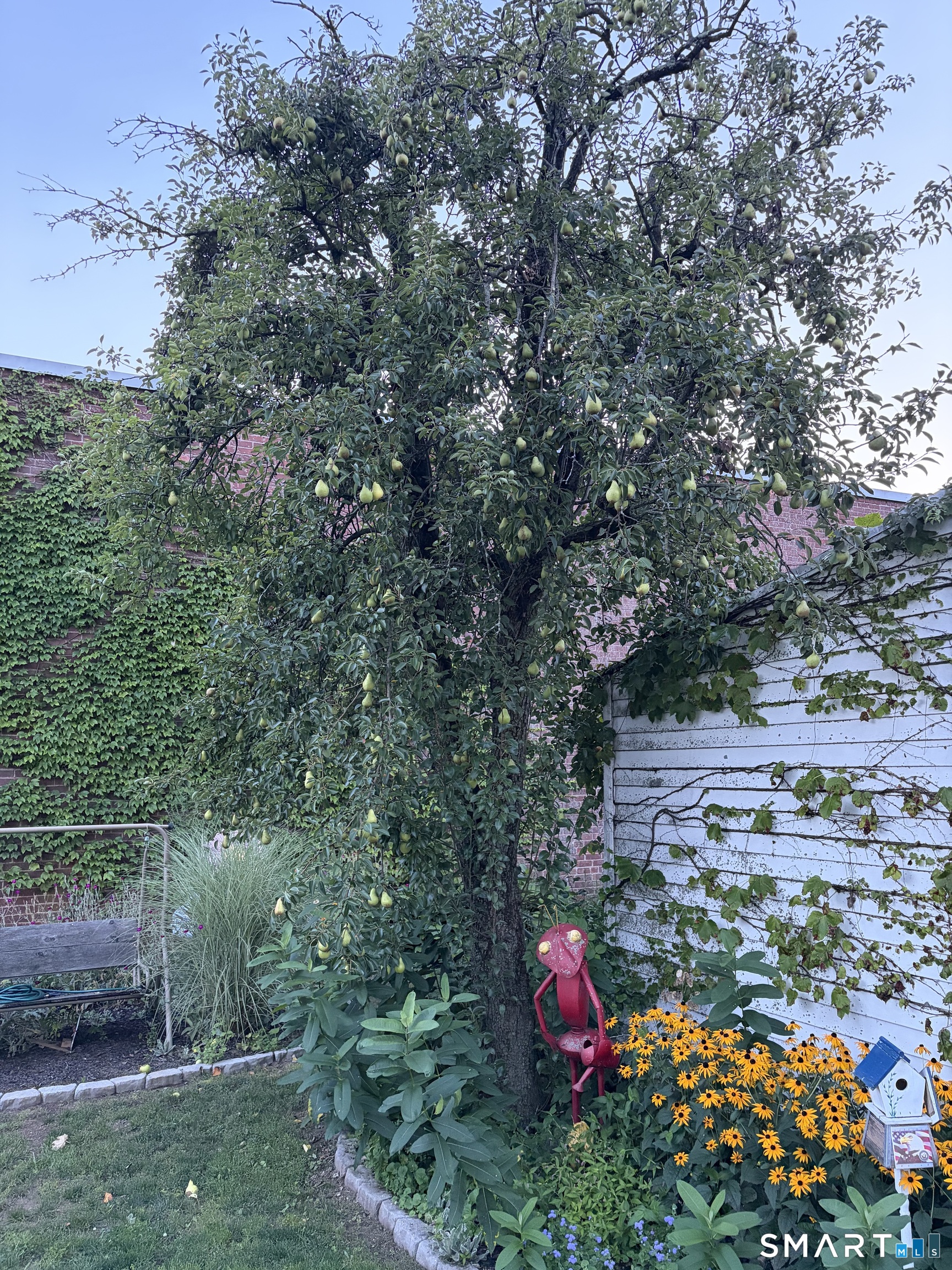 15 Oregon Avenue photo 20