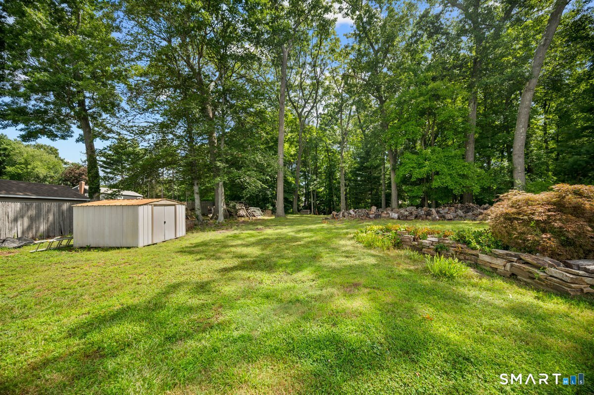 127 Rowland Drive photo 5