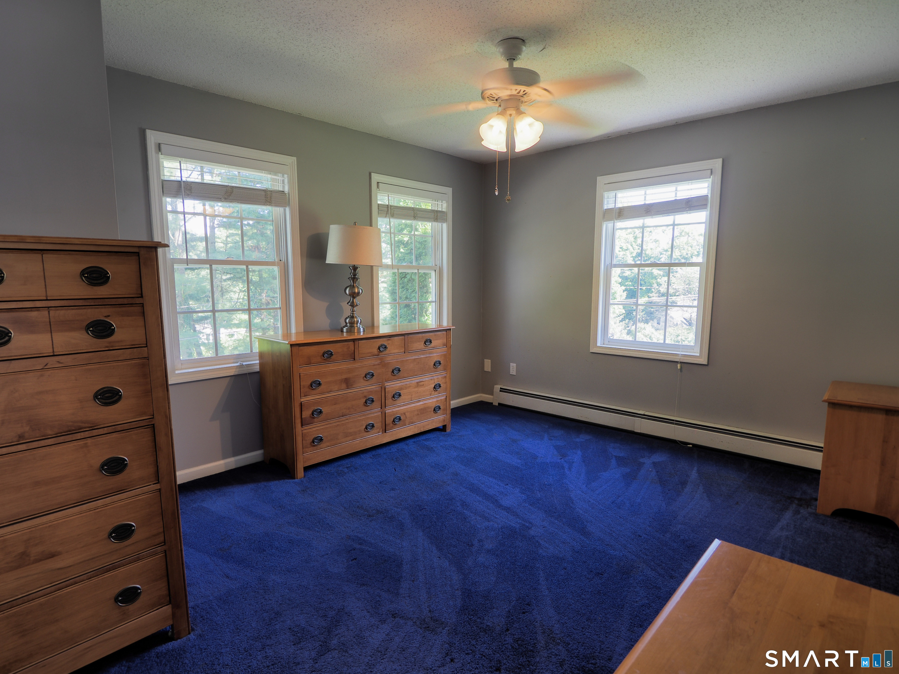 67 Claire Hill Road photo 19