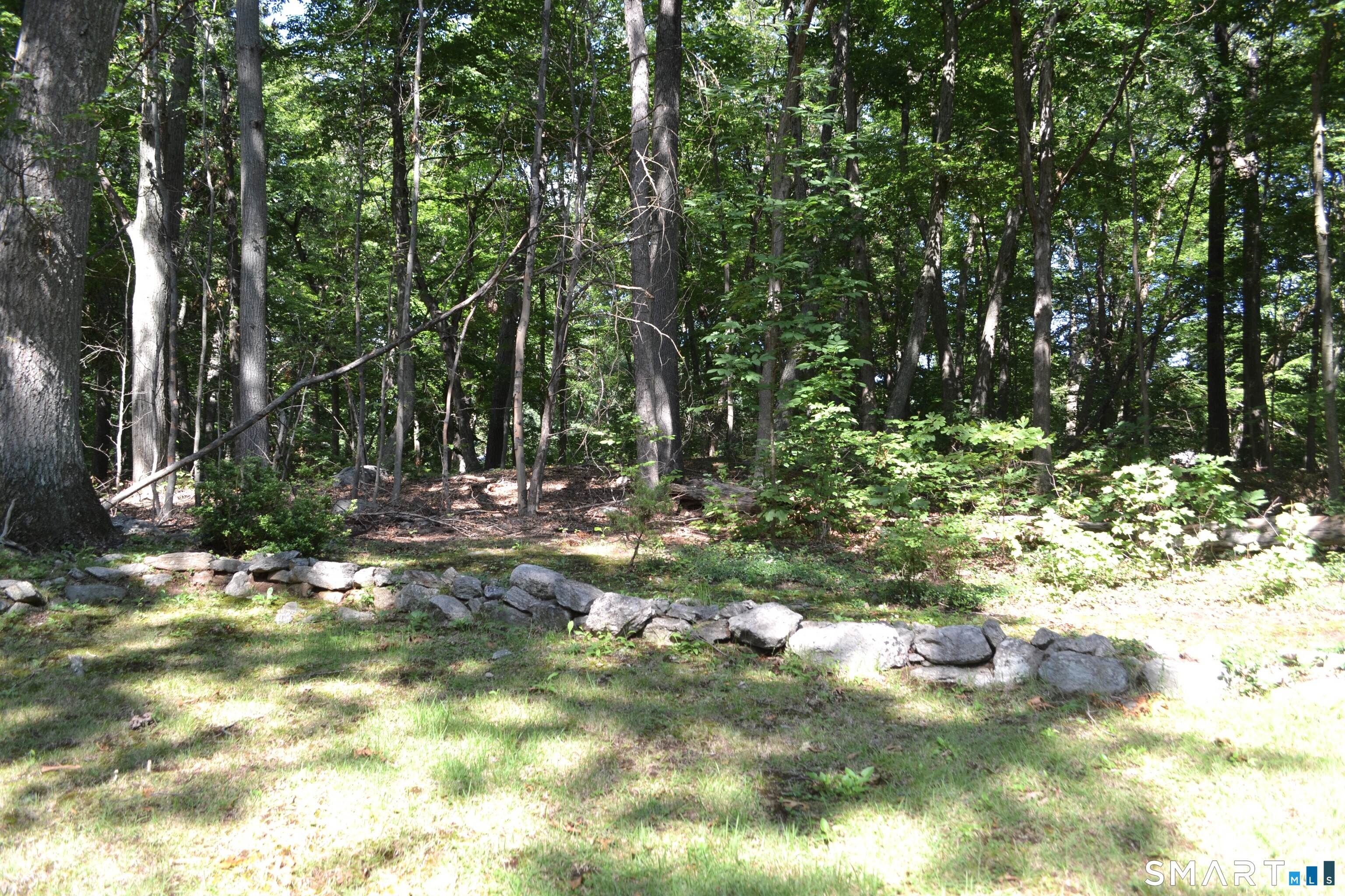 234 East Rocks Road photo 24