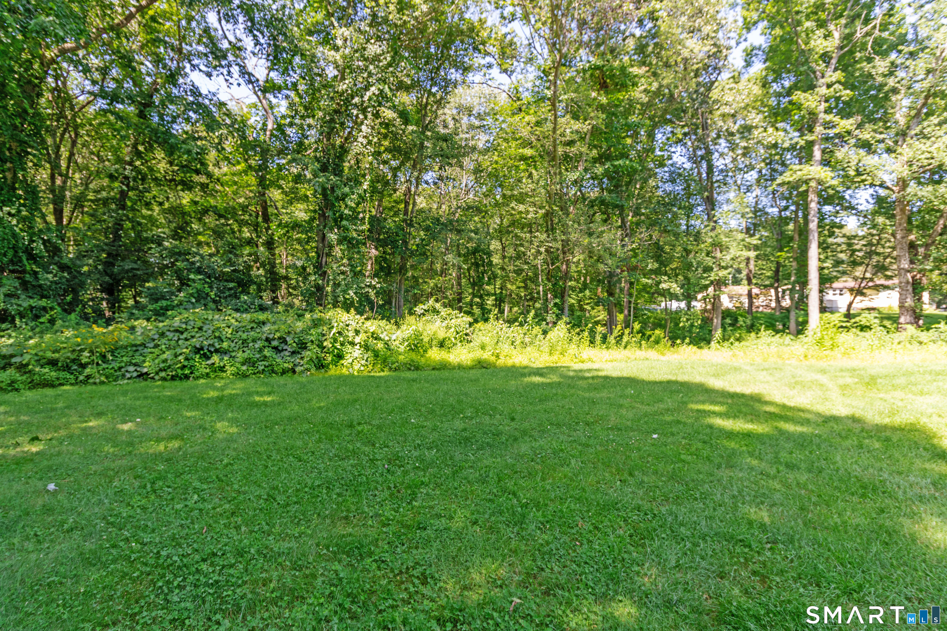 65 Colchester Commons photo 37