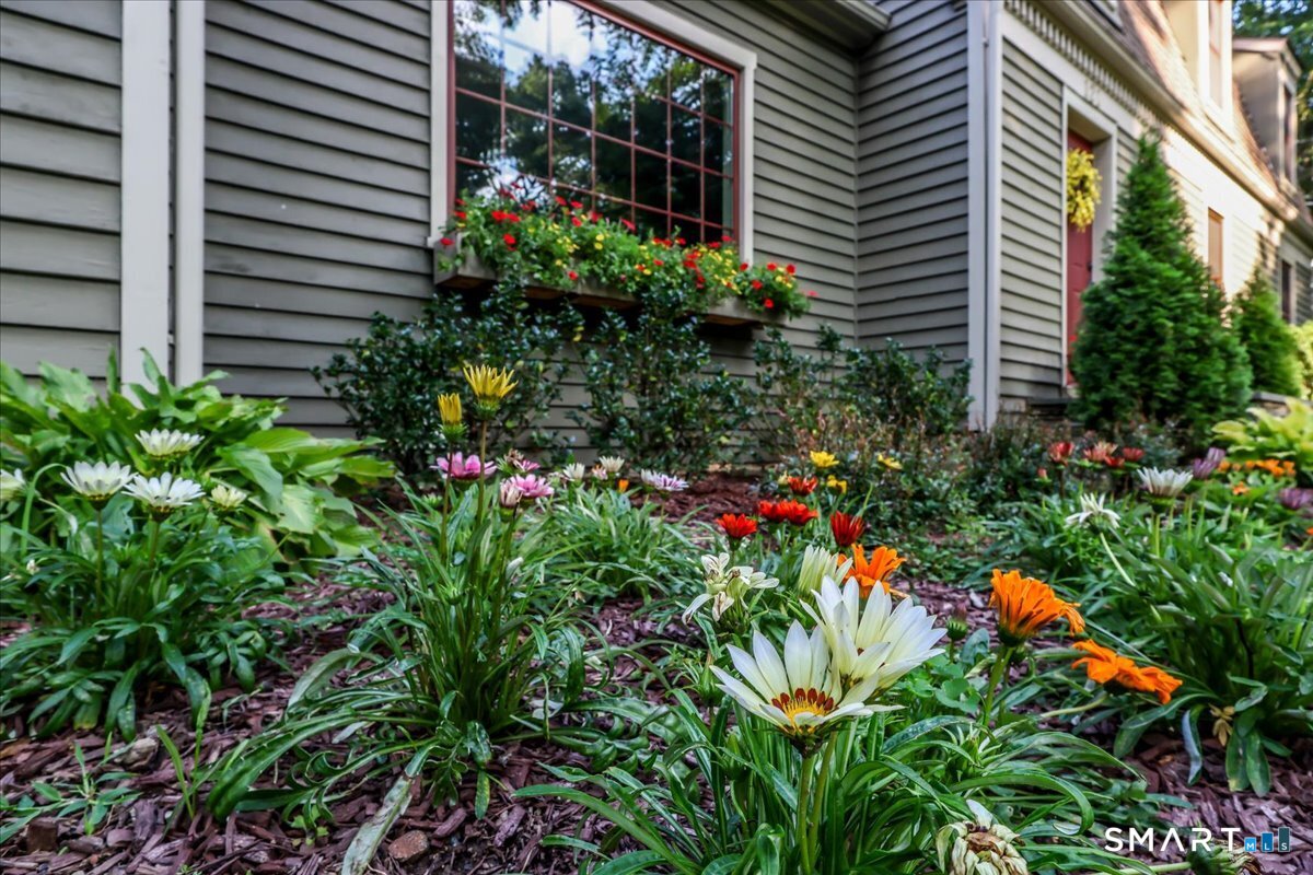 121 Carriage Drive photo 3