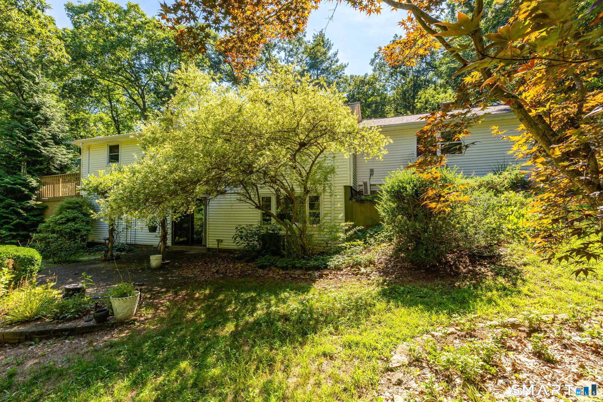 101 South Road photo 27