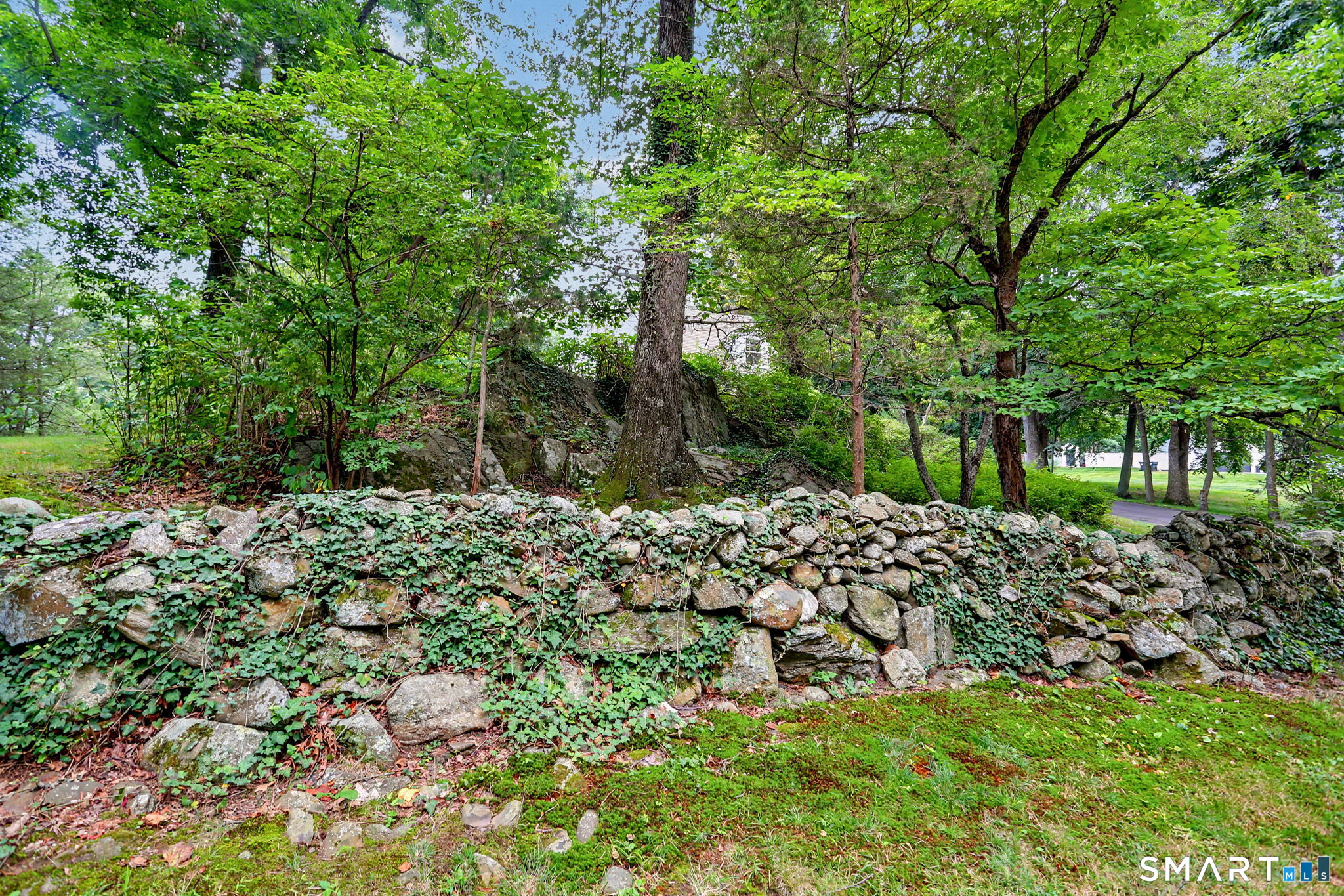 219 Unity Road photo 33