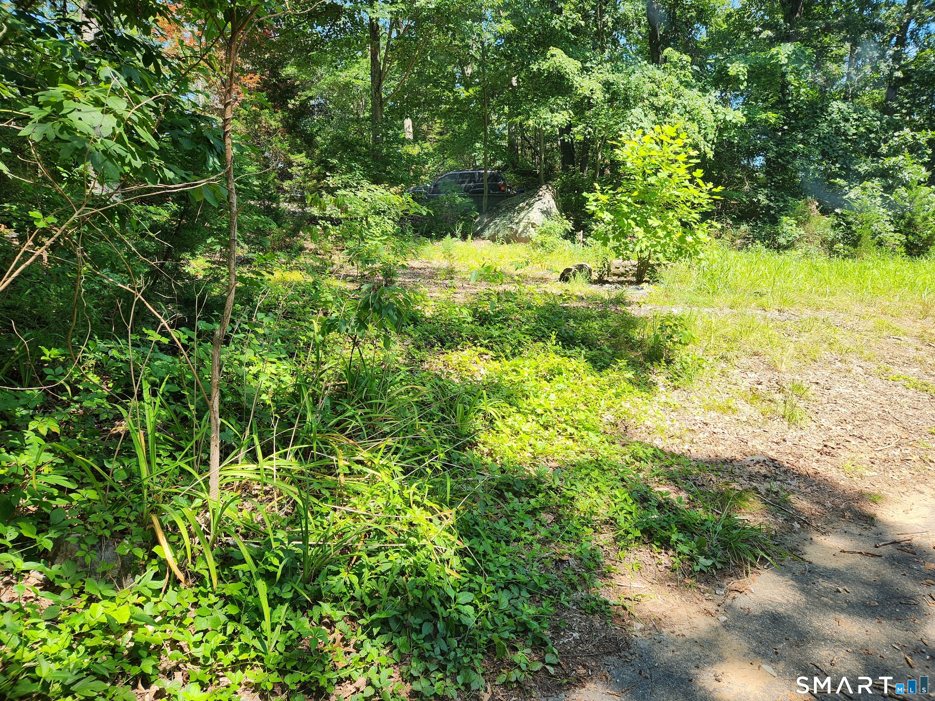 85 Military Highway photo 6