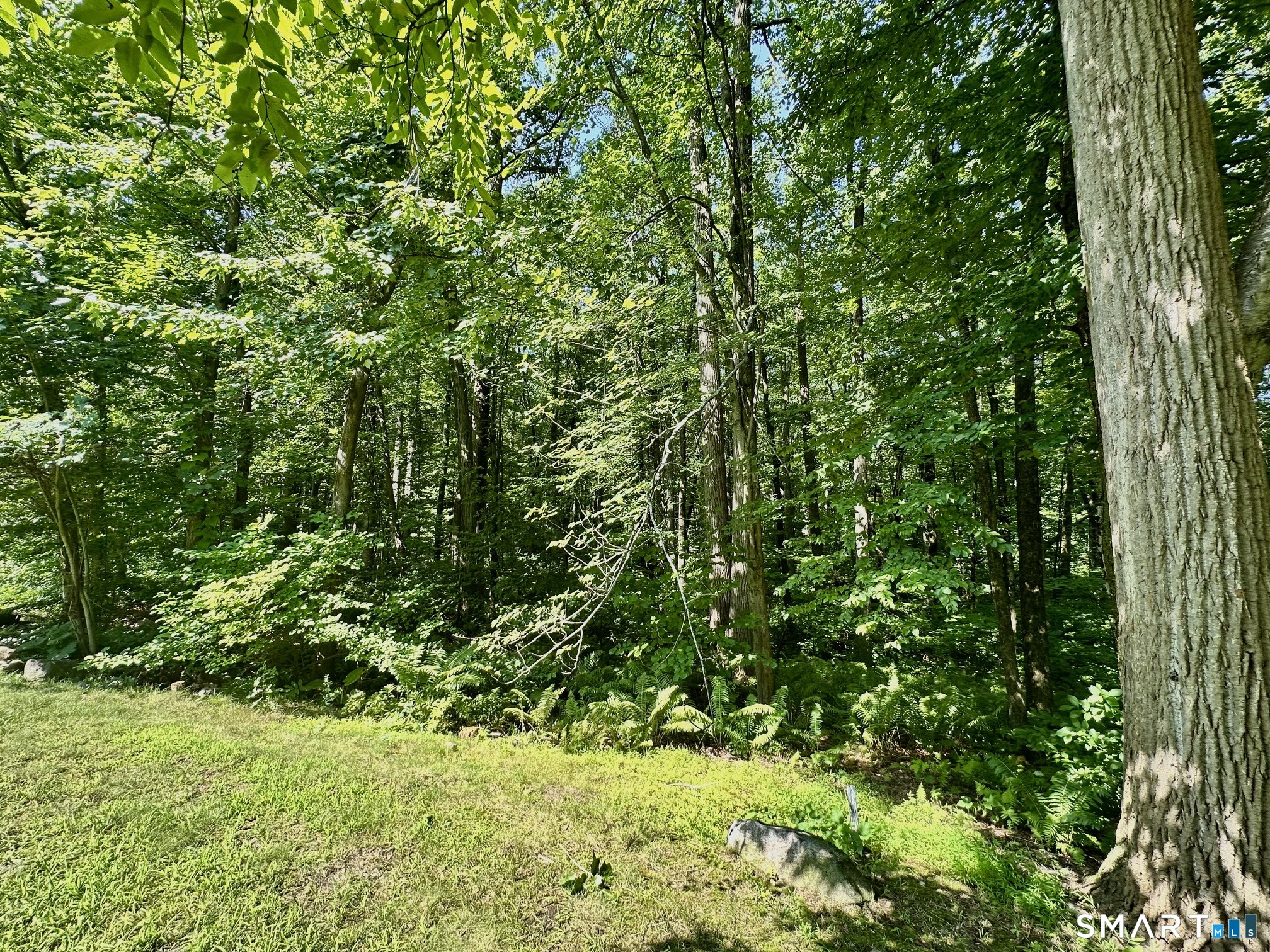 181 Sherbrooke Street  Unit #12 photo 37