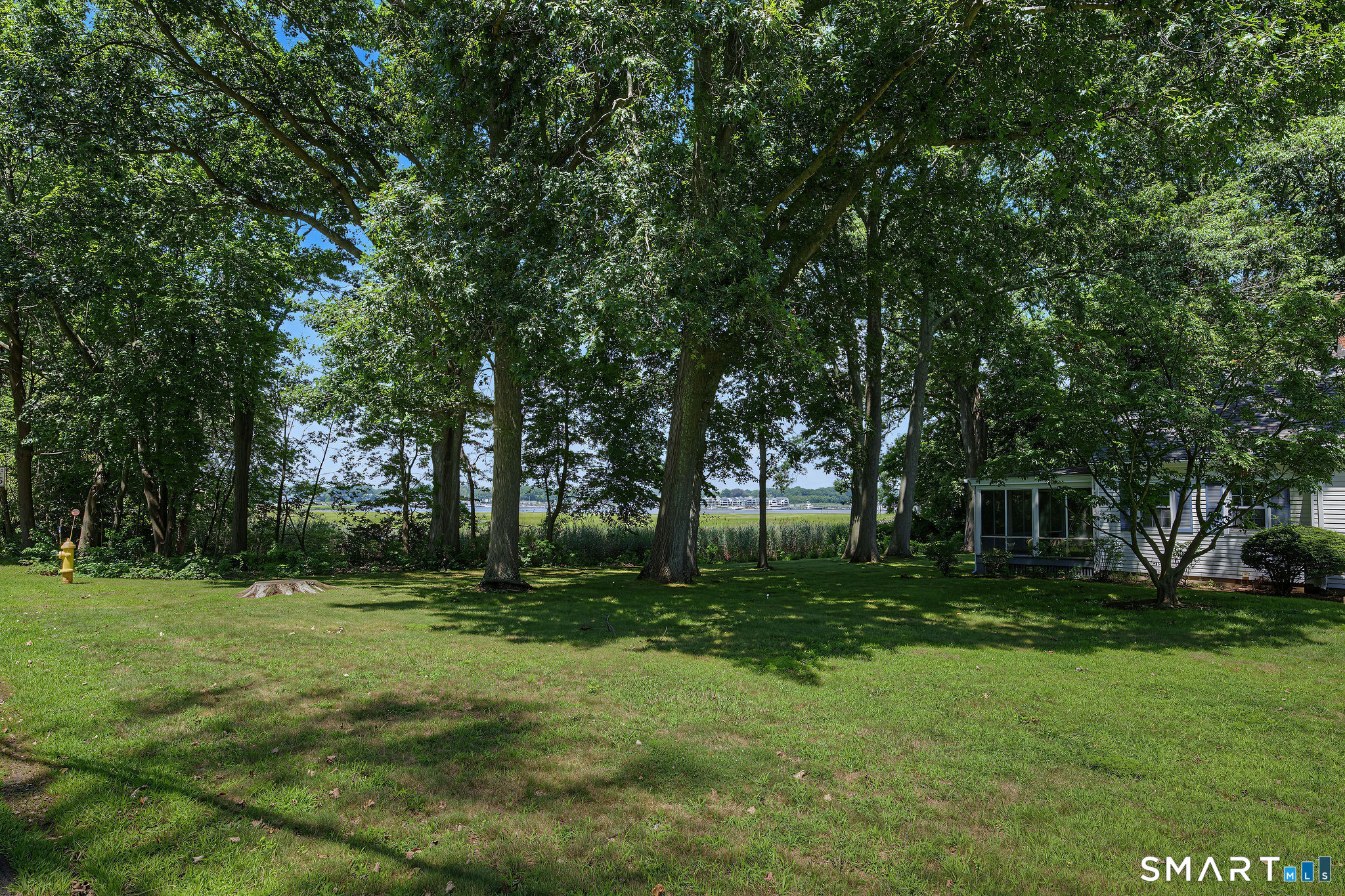 31 Pawson Road photo 14