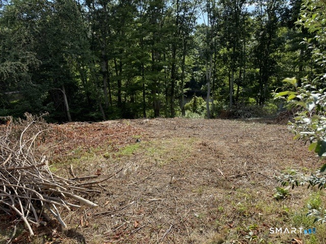 513 Litchfield Avenue photo 2