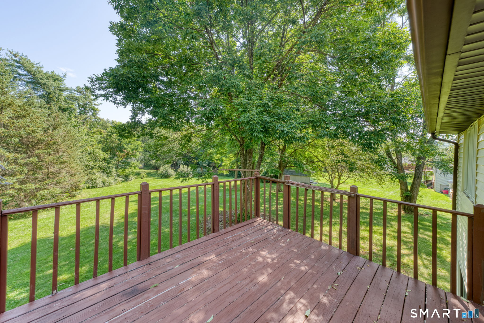 6 Blueberry Circle photo 6