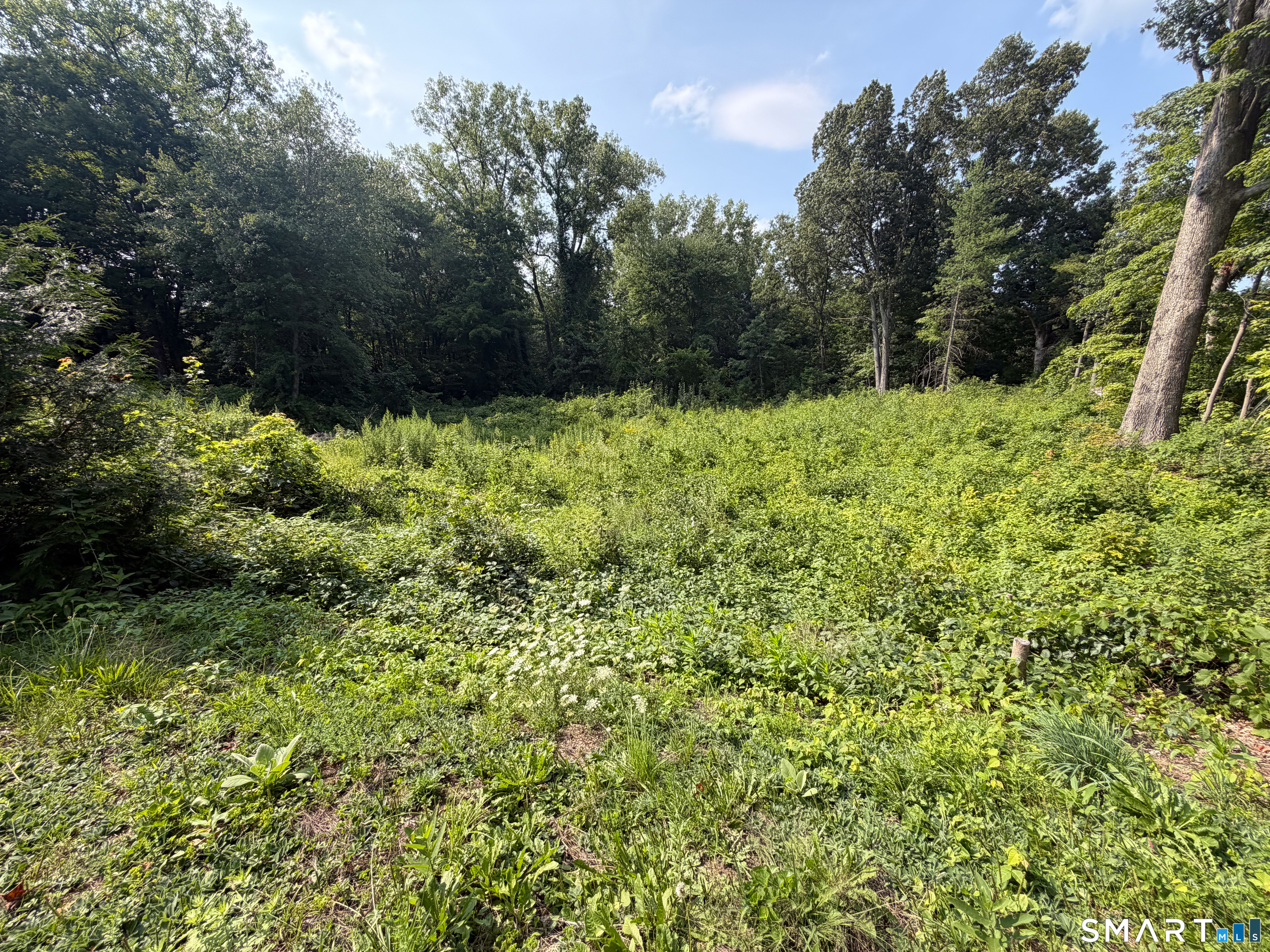 8059 Brickyard Road photo 6