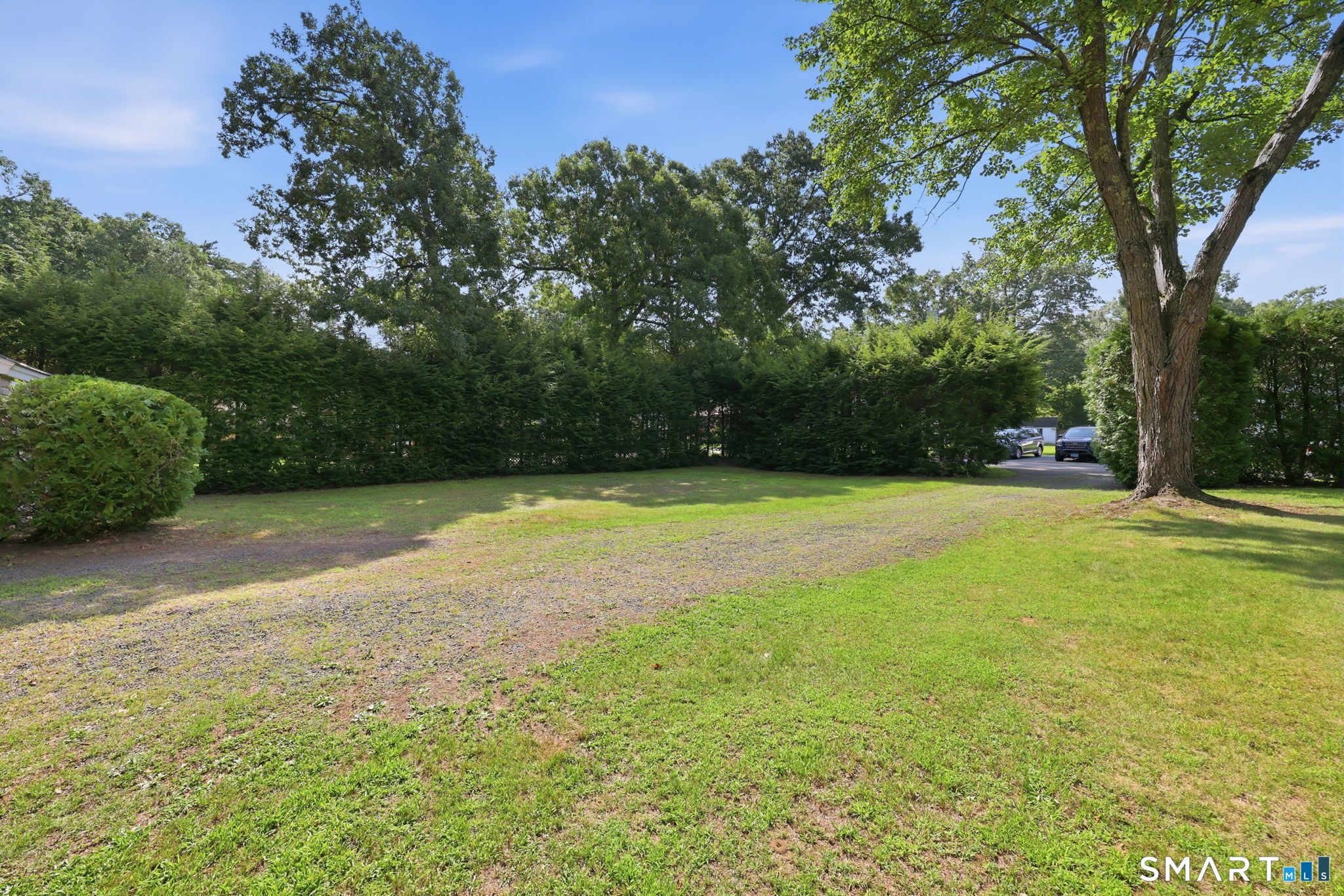 186 Jackson Drive photo 29