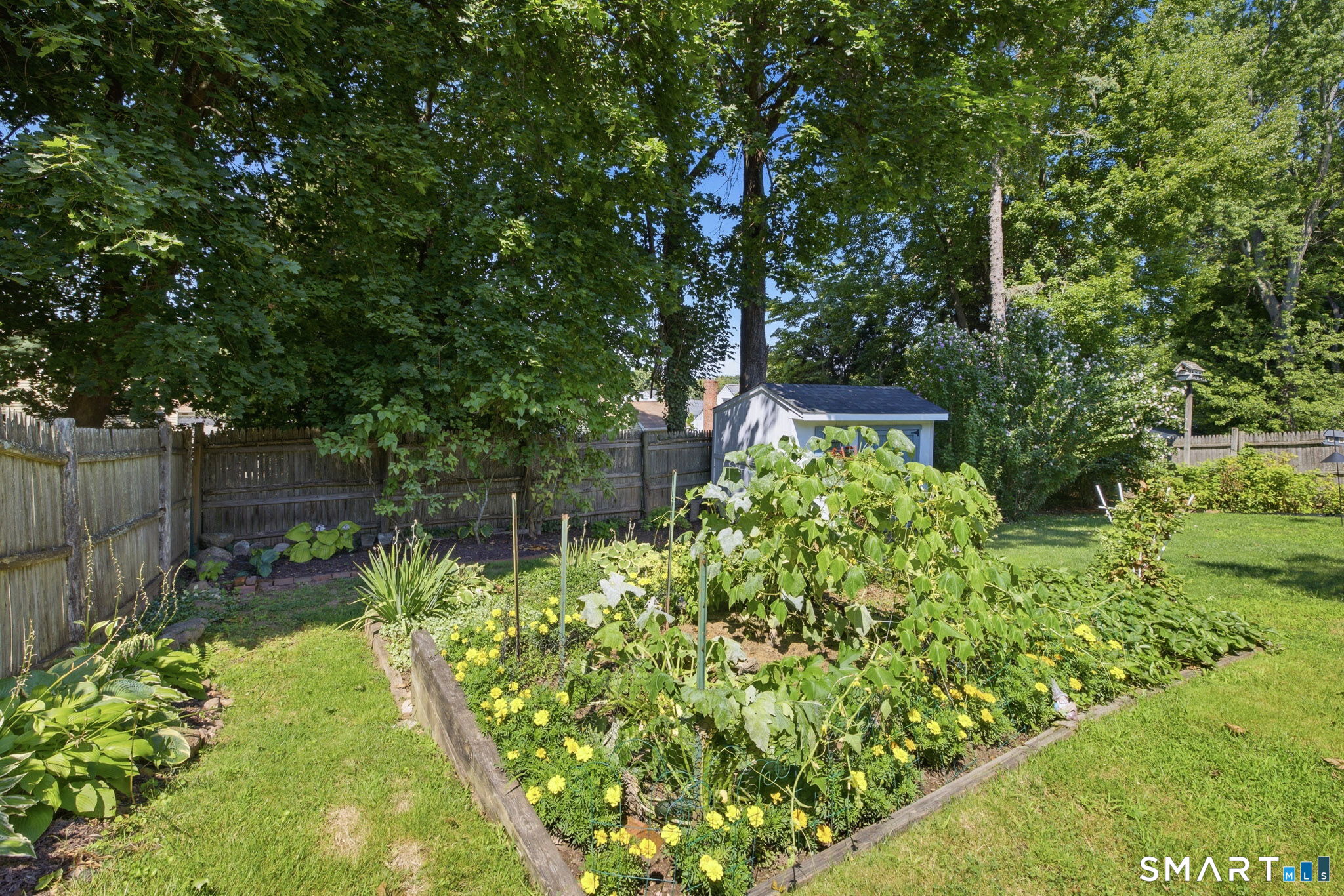 47 Willard Road photo 38