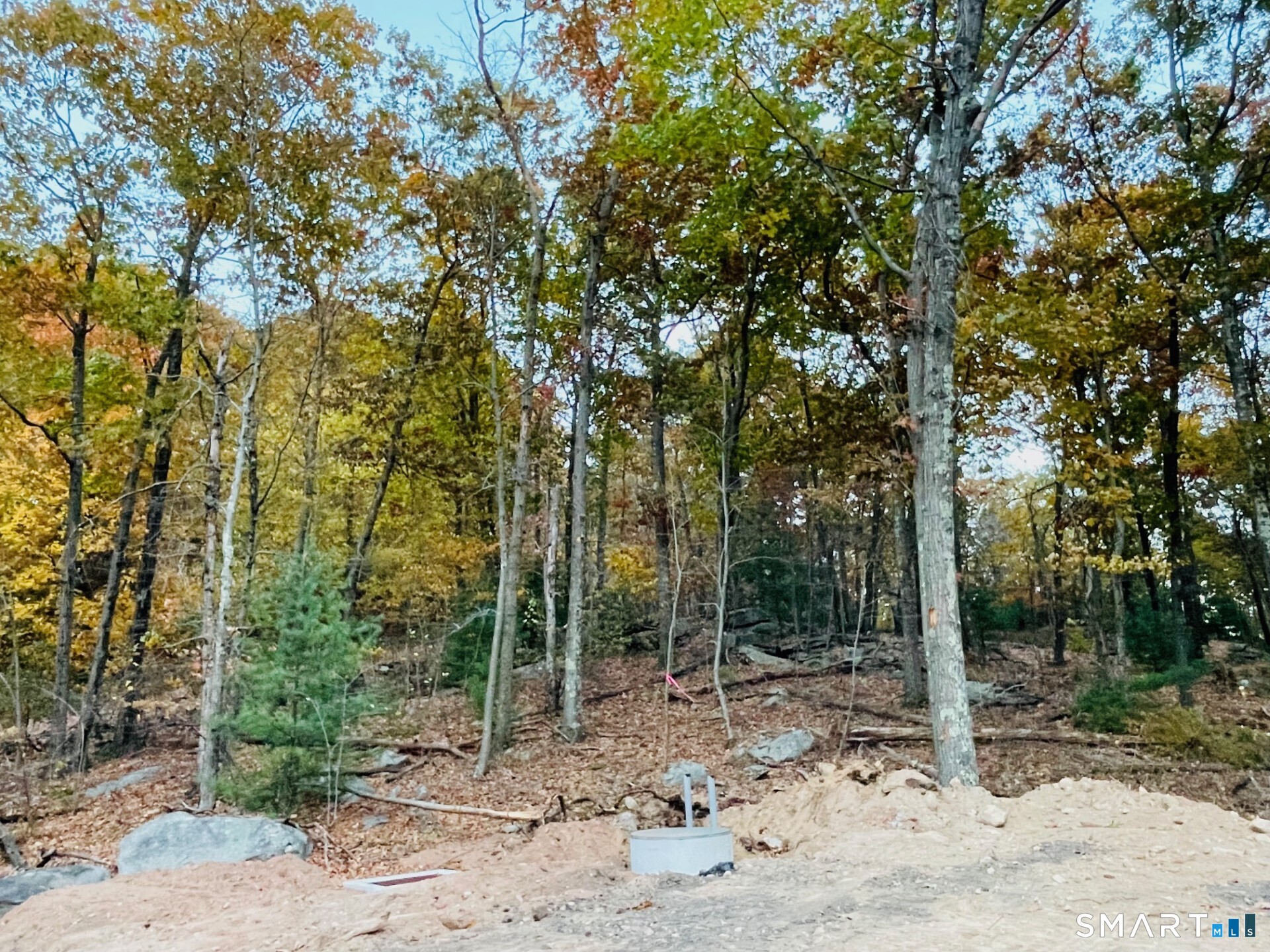 245 Knollwood Drive photo 4