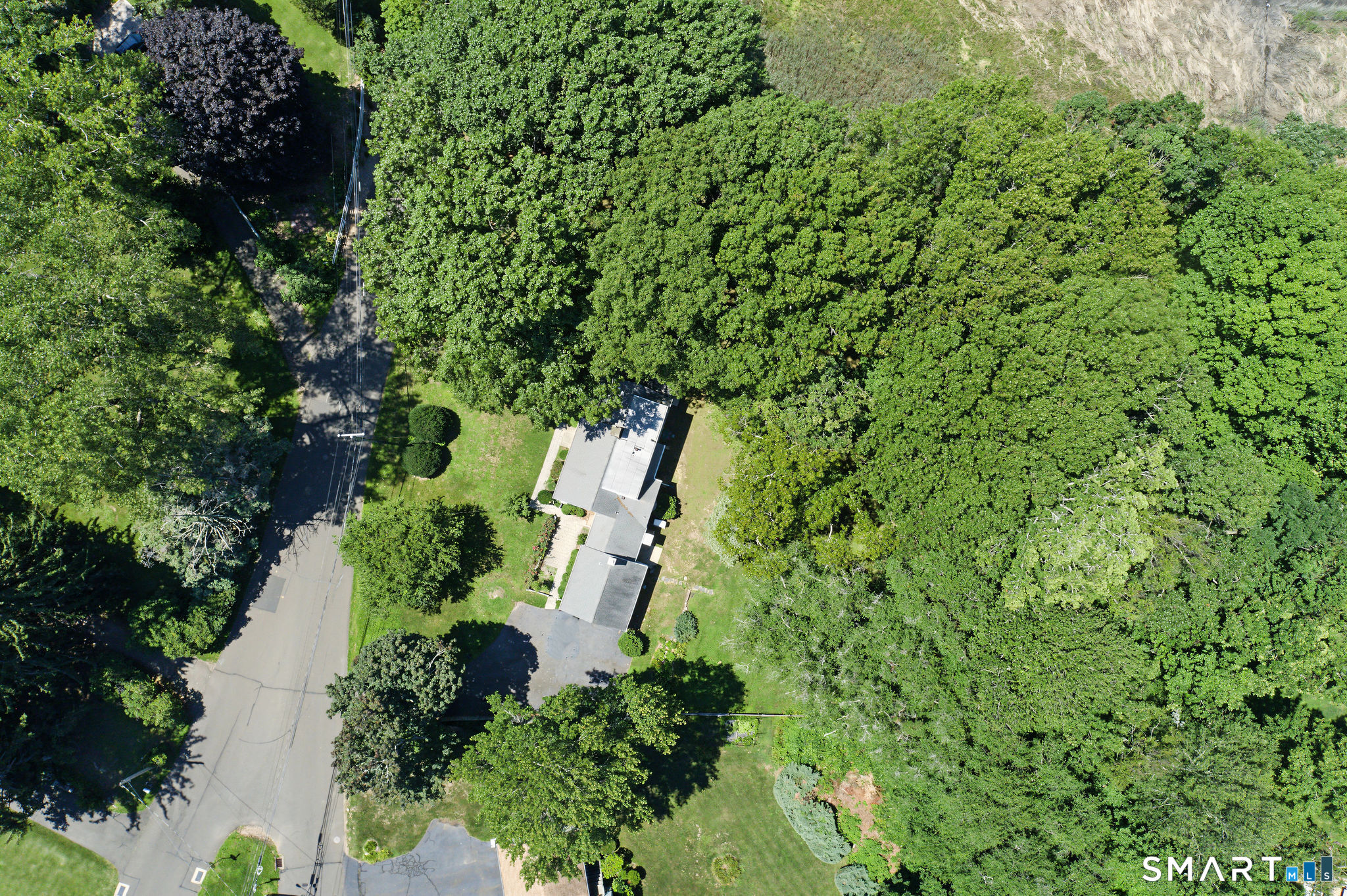 31 Pawson Road photo 10