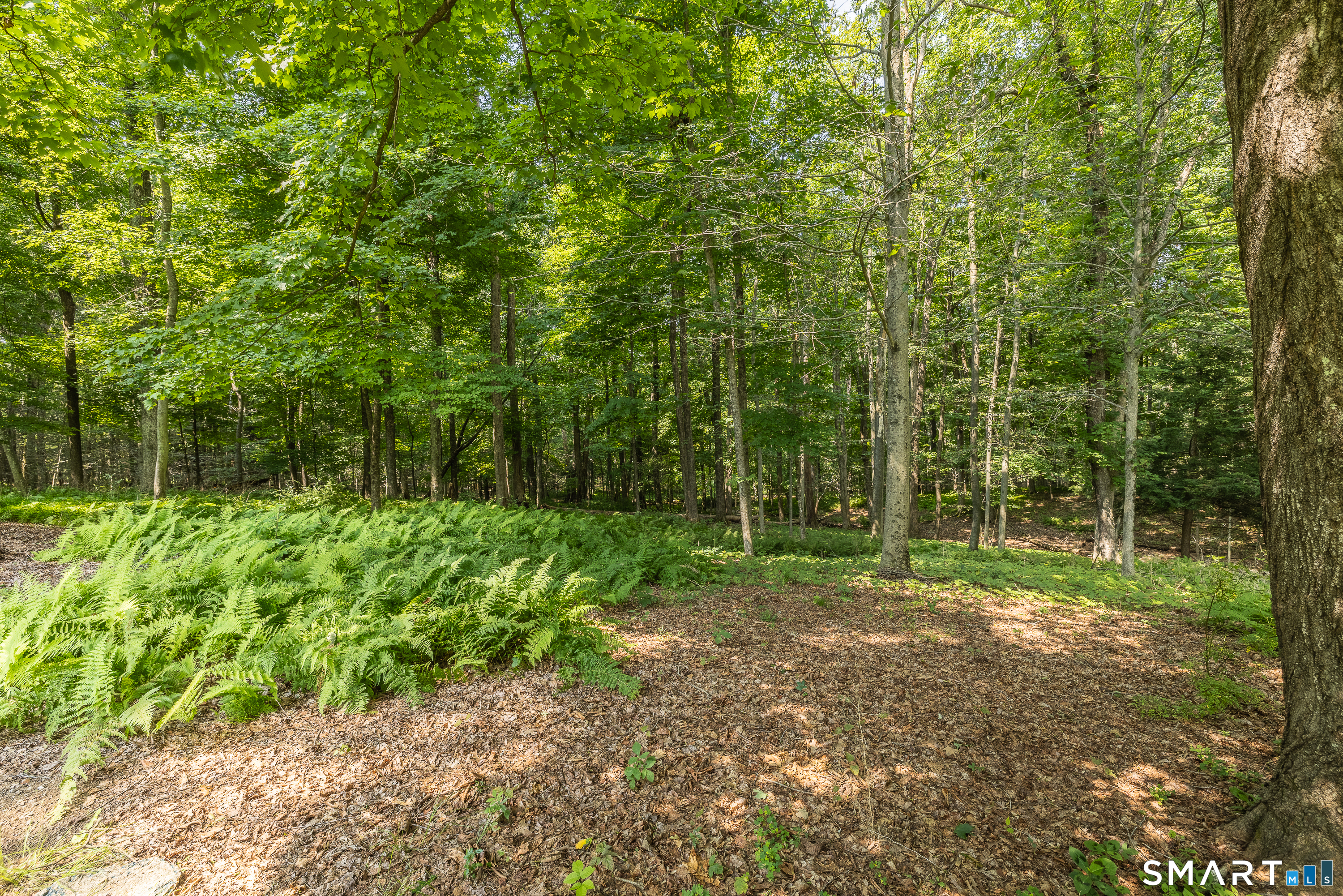170 Charter Oak Road photo 27