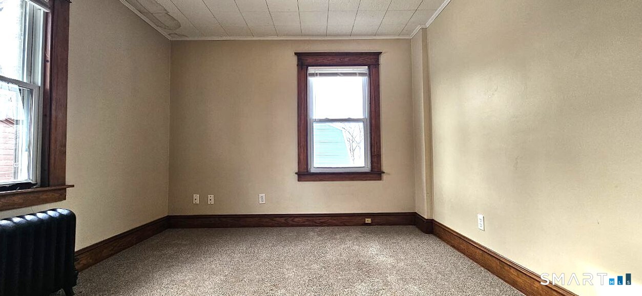 47 Bingham Street photo 29