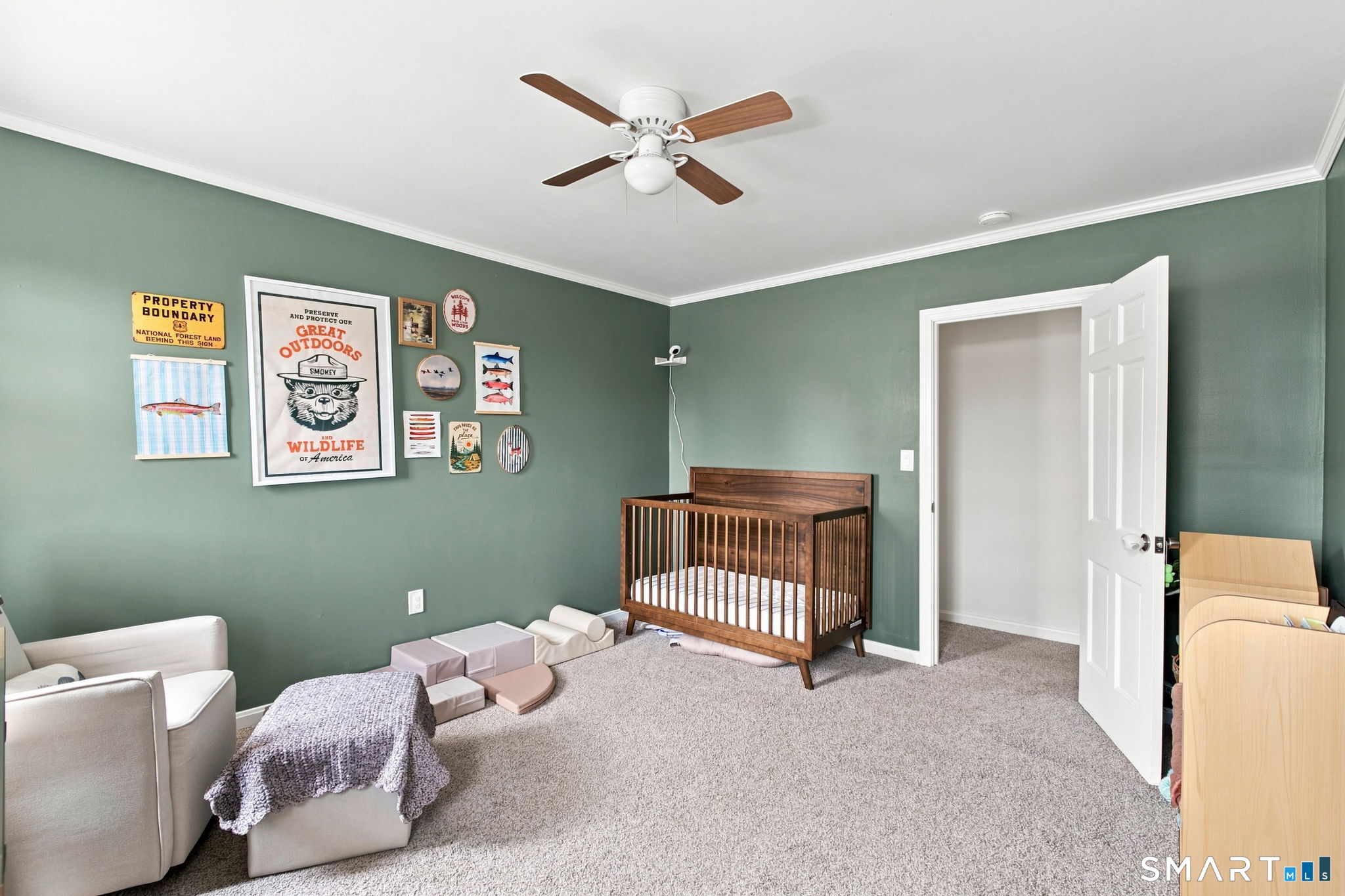 117 Brookmoor Road photo 32