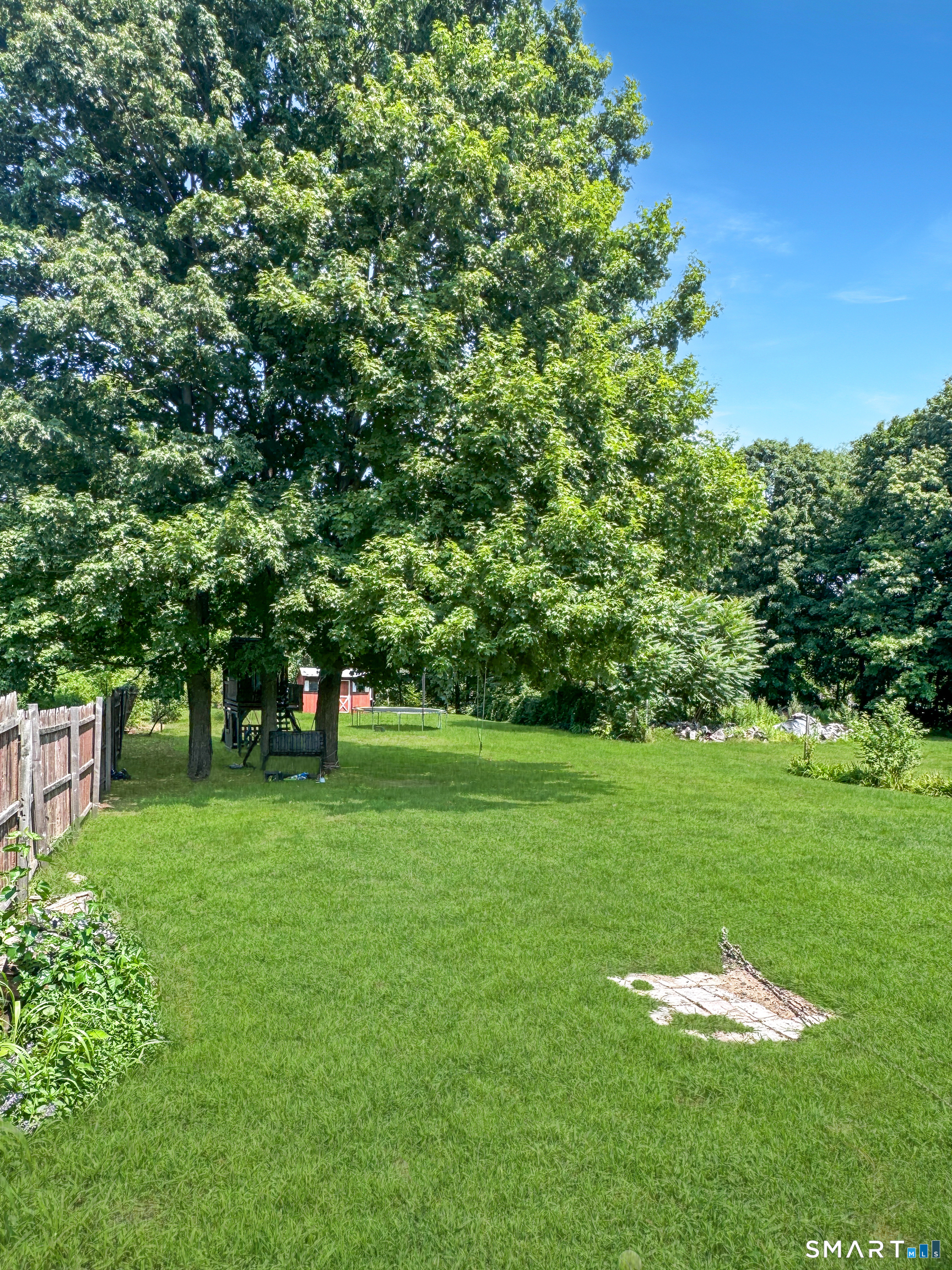 61 Forestville Avenue photo 25