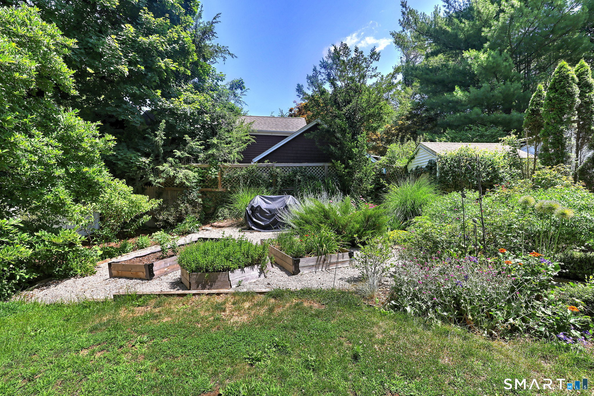 35 Wilkins Street photo 4