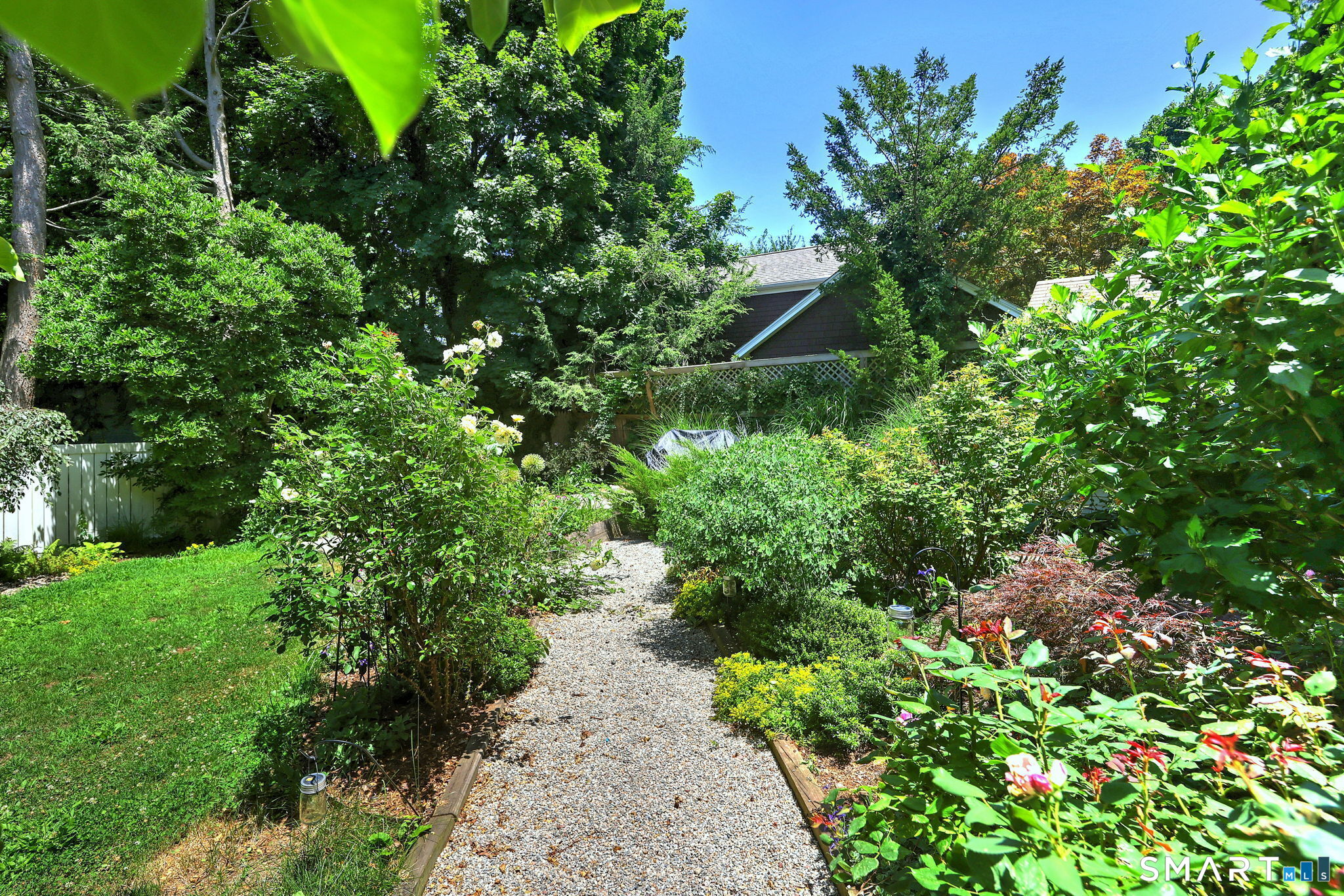 35 Wilkins Street photo 5