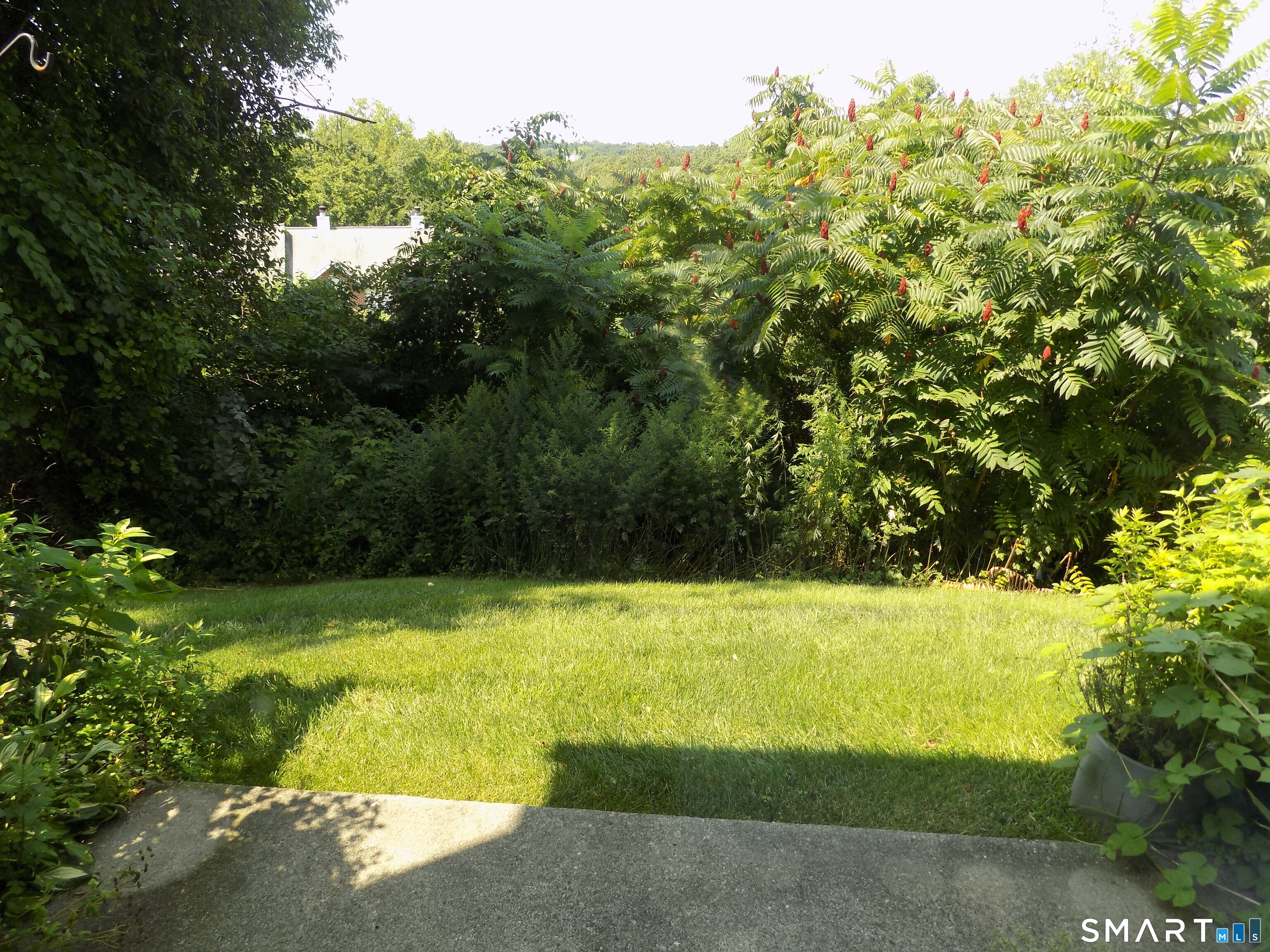 585 Park Road Unit #10-3 photo 18