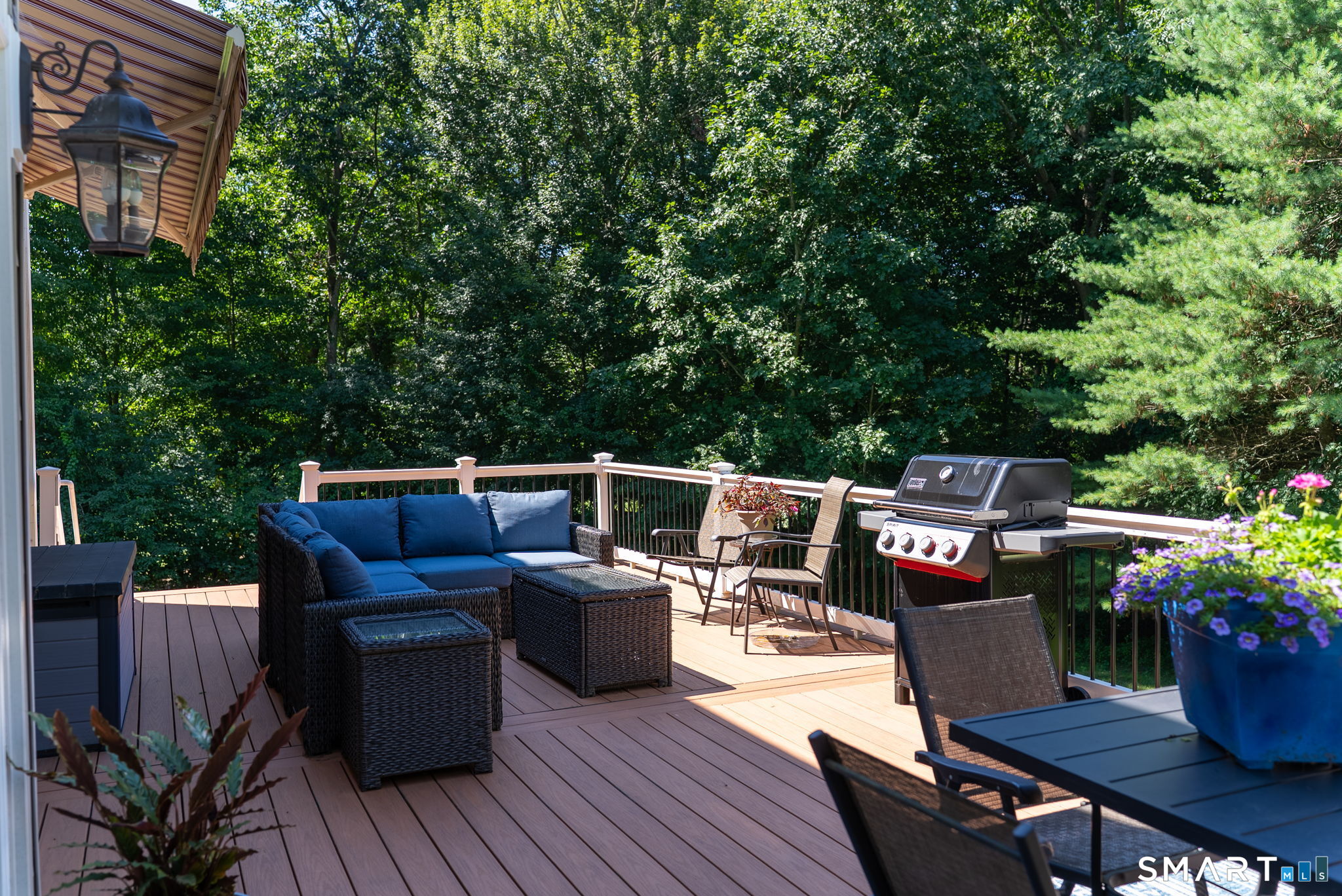 56 Fox Meadow photo 32