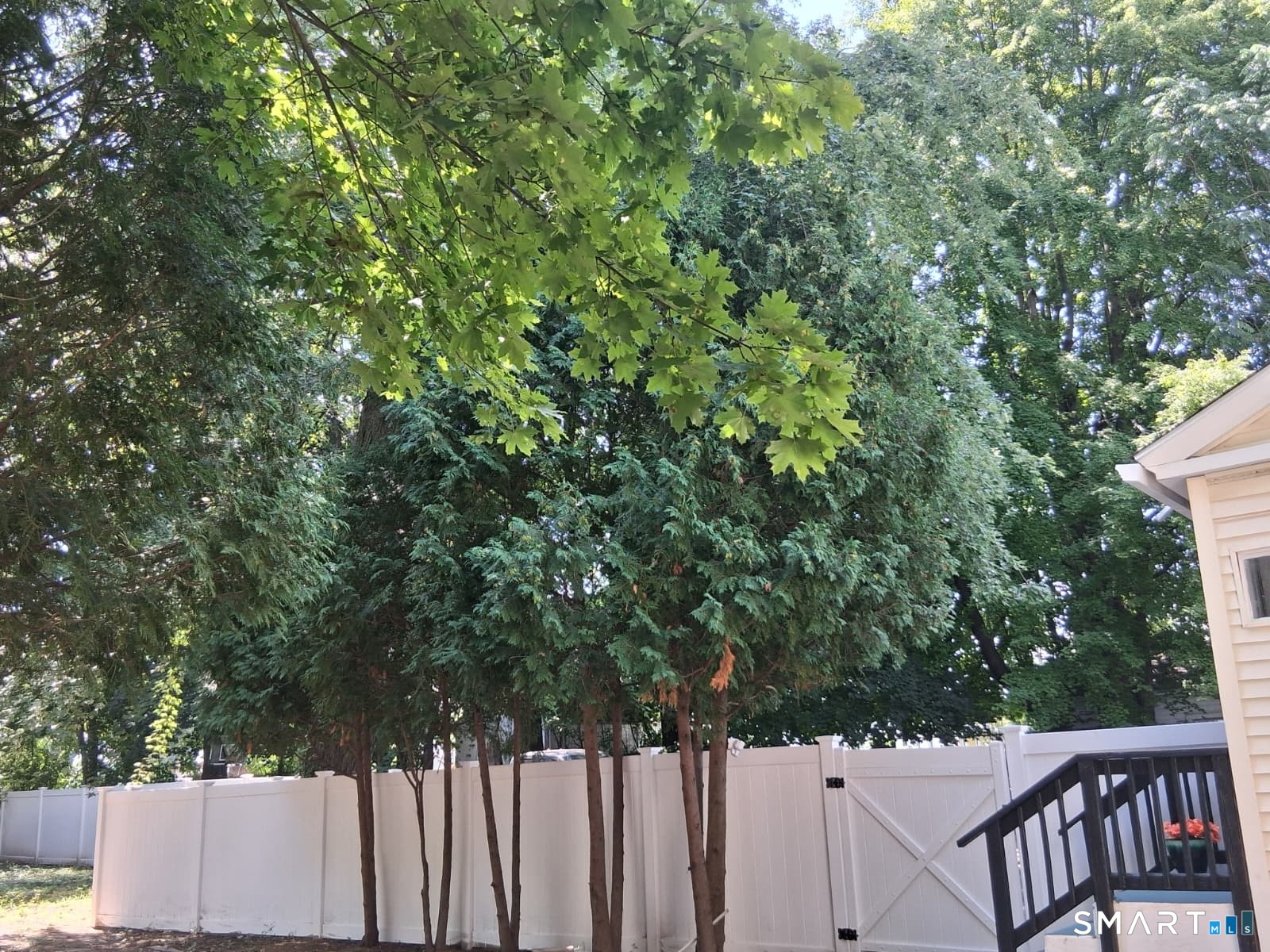 15 Simpson Street photo 28