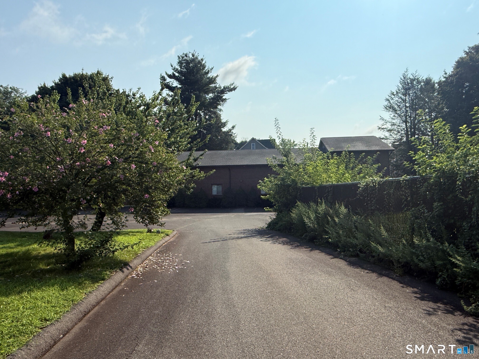551 Stanley Street photo 7