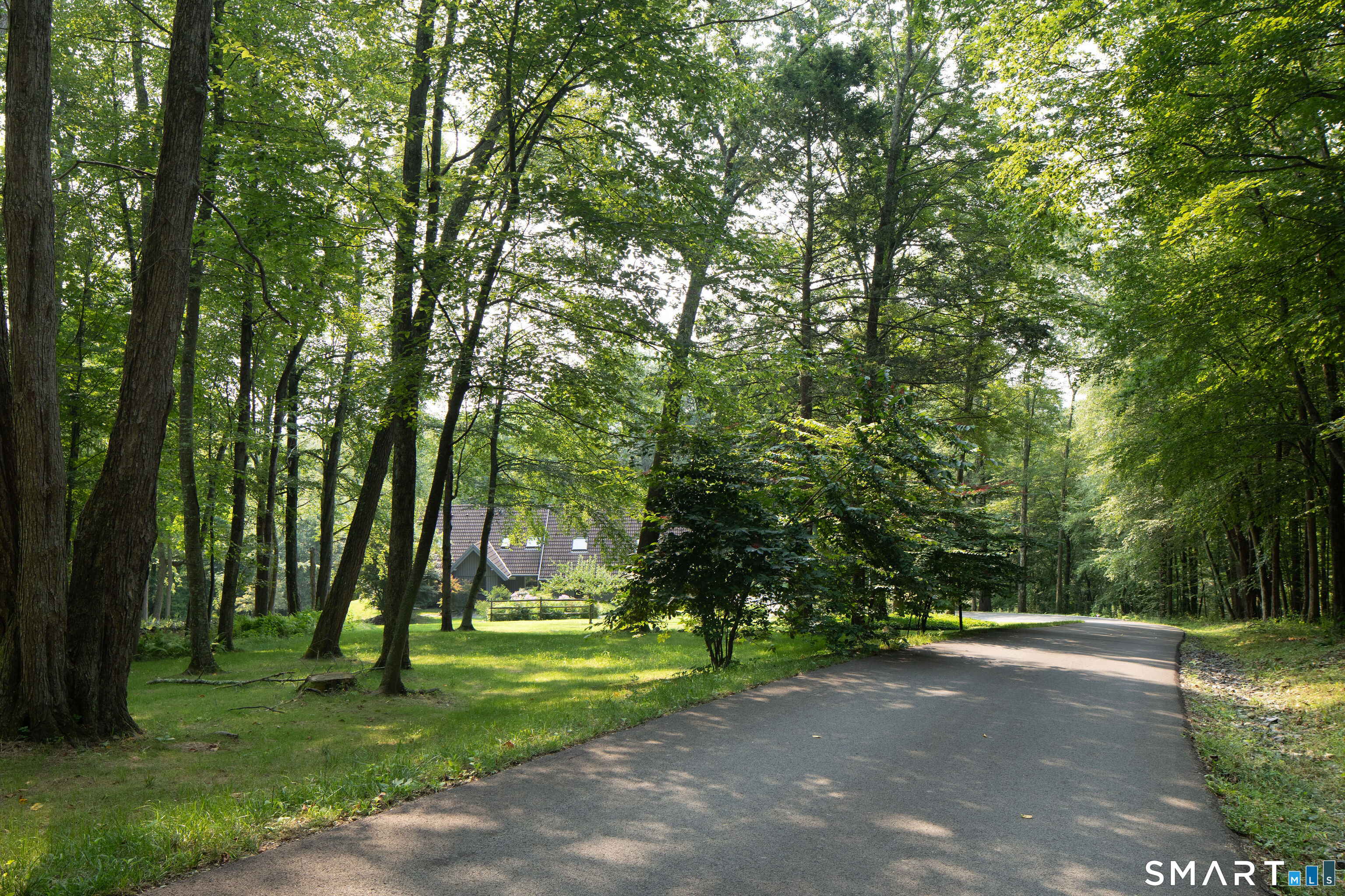 24 Burton Road photo 32